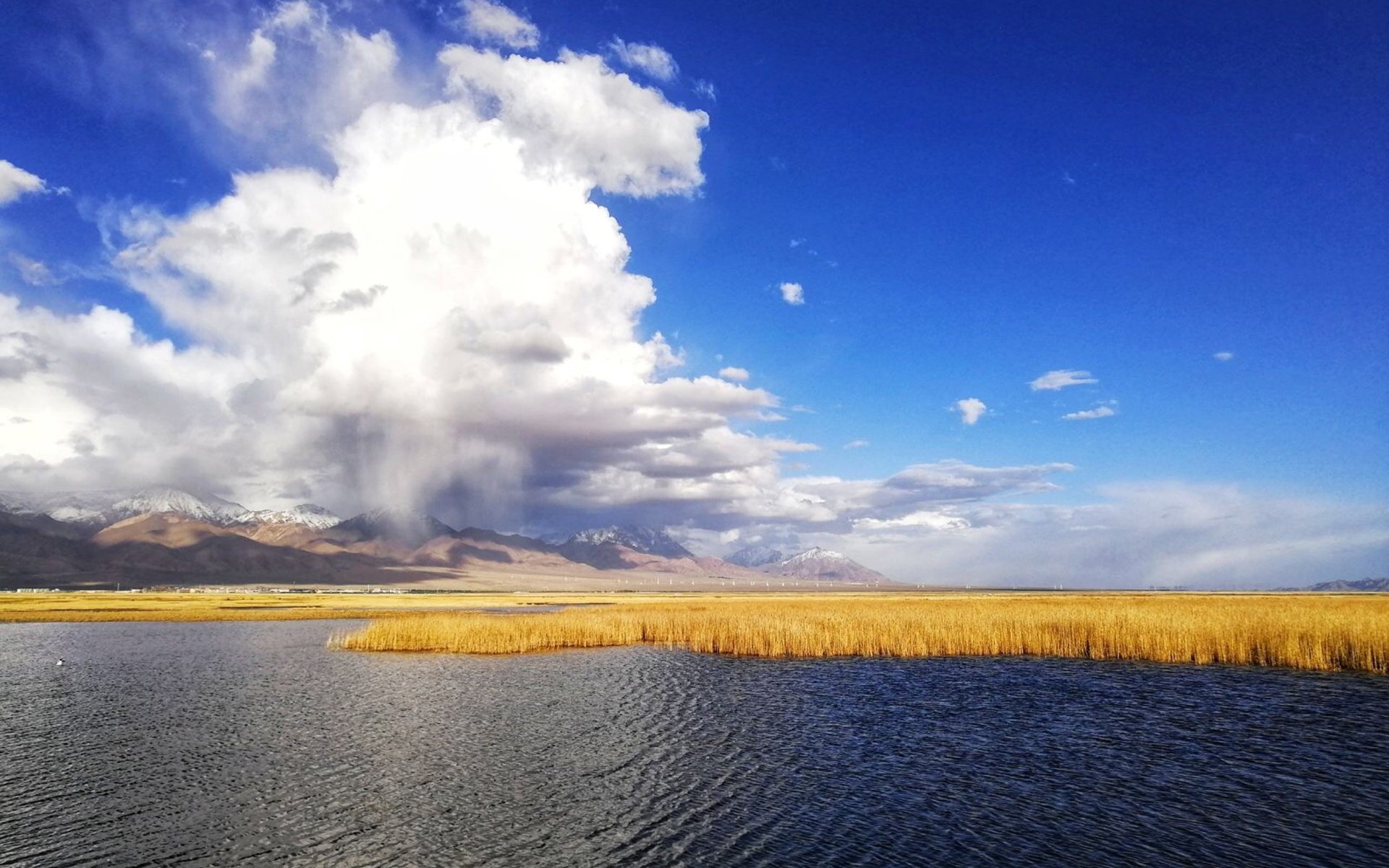 自然风光,绝美青海湖