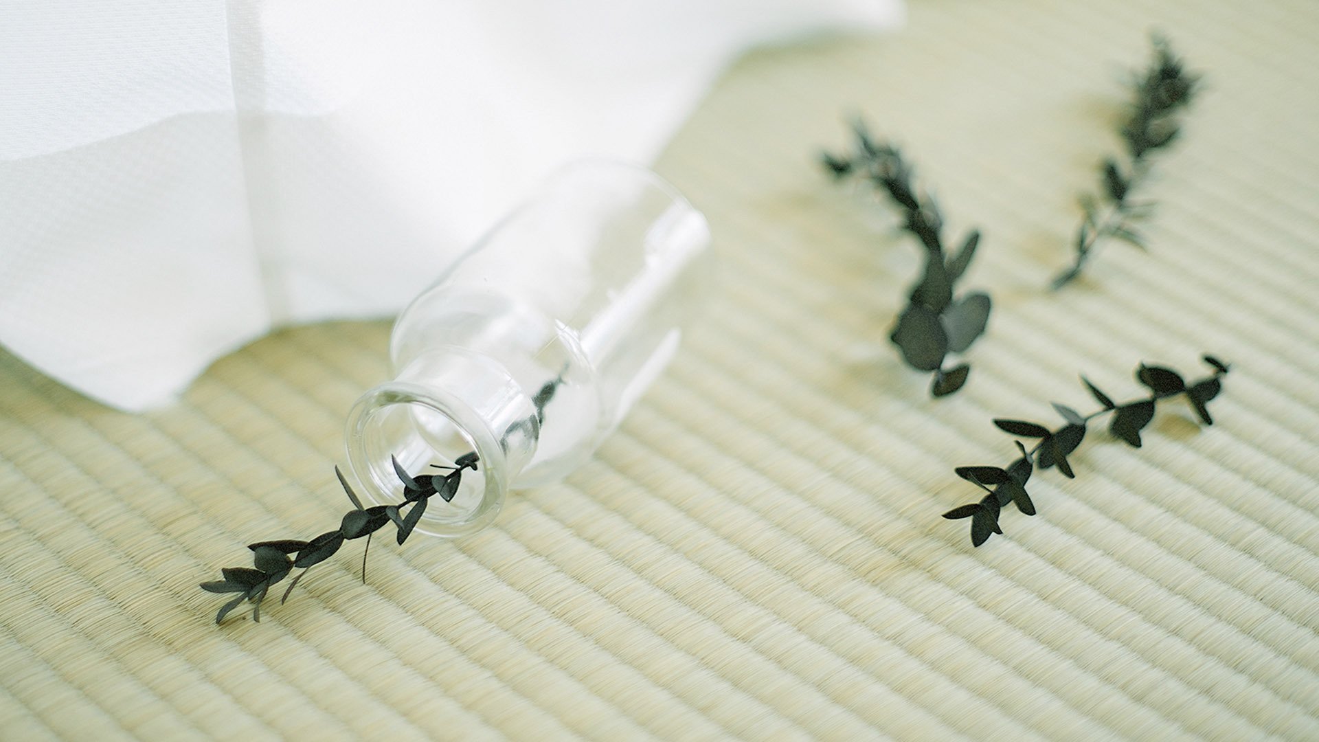 静物写真,室内唯美静物