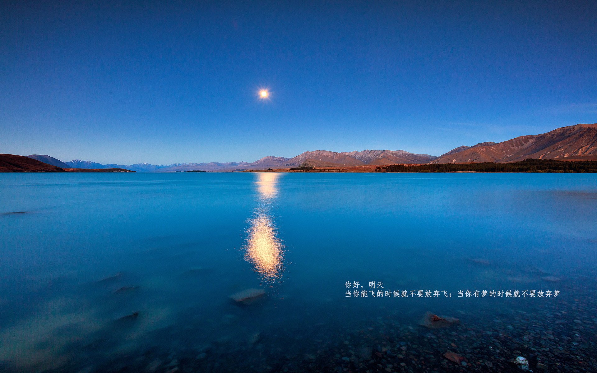 文字控,不能放弃梦