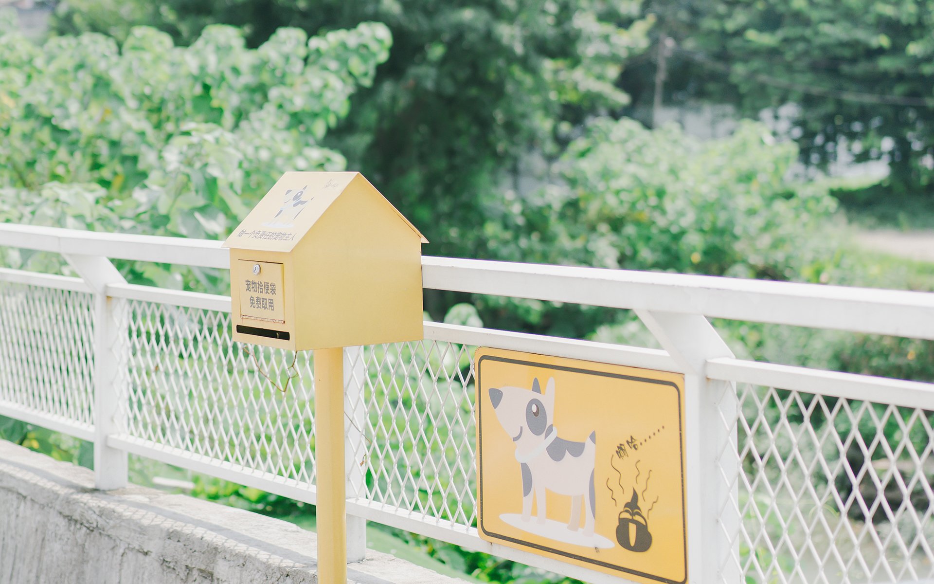 舒缓压力,炎炎夏日的路边