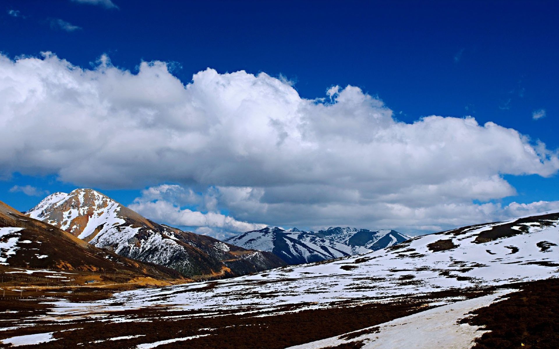 冰天雪地,云南白马雪山风景