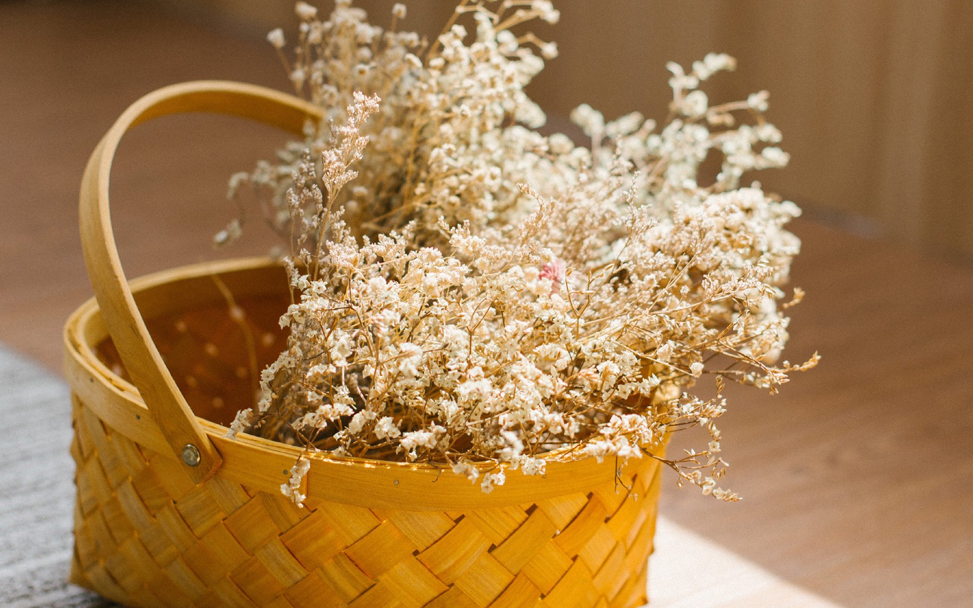 静物写真,文艺小清新