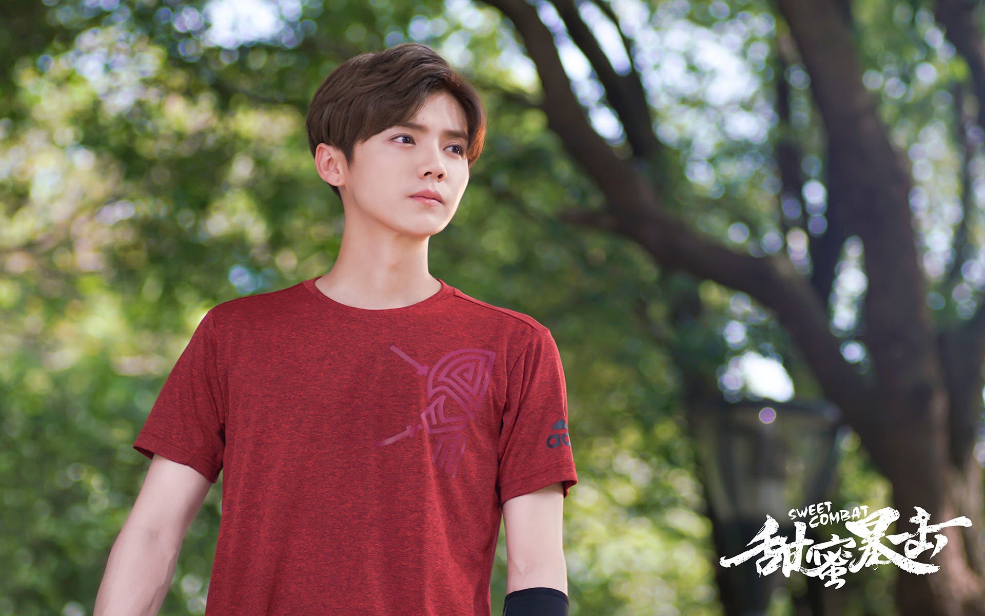 影视剧照,甜蜜暴击,鹿晗