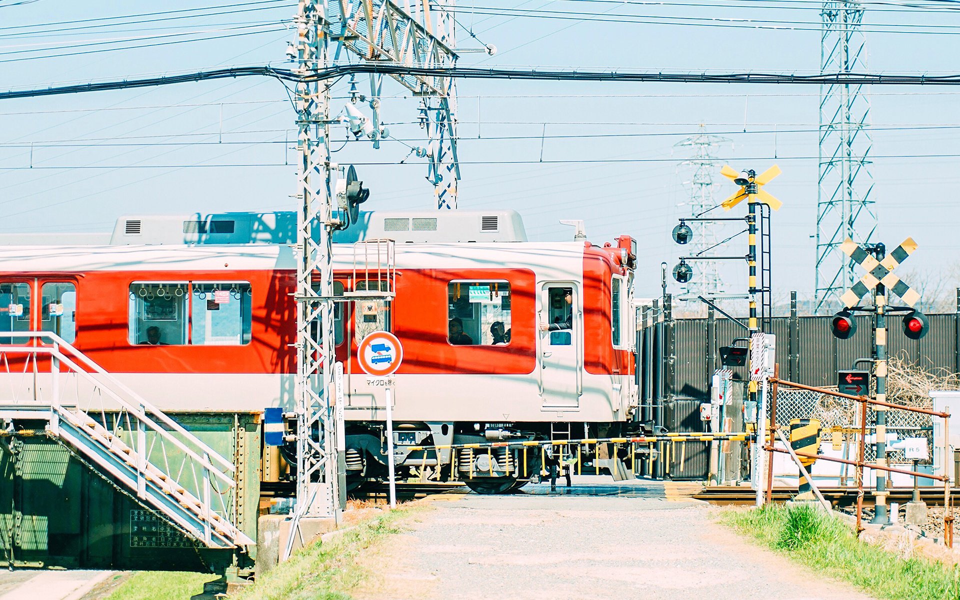 静物写真,小清新绿色风景