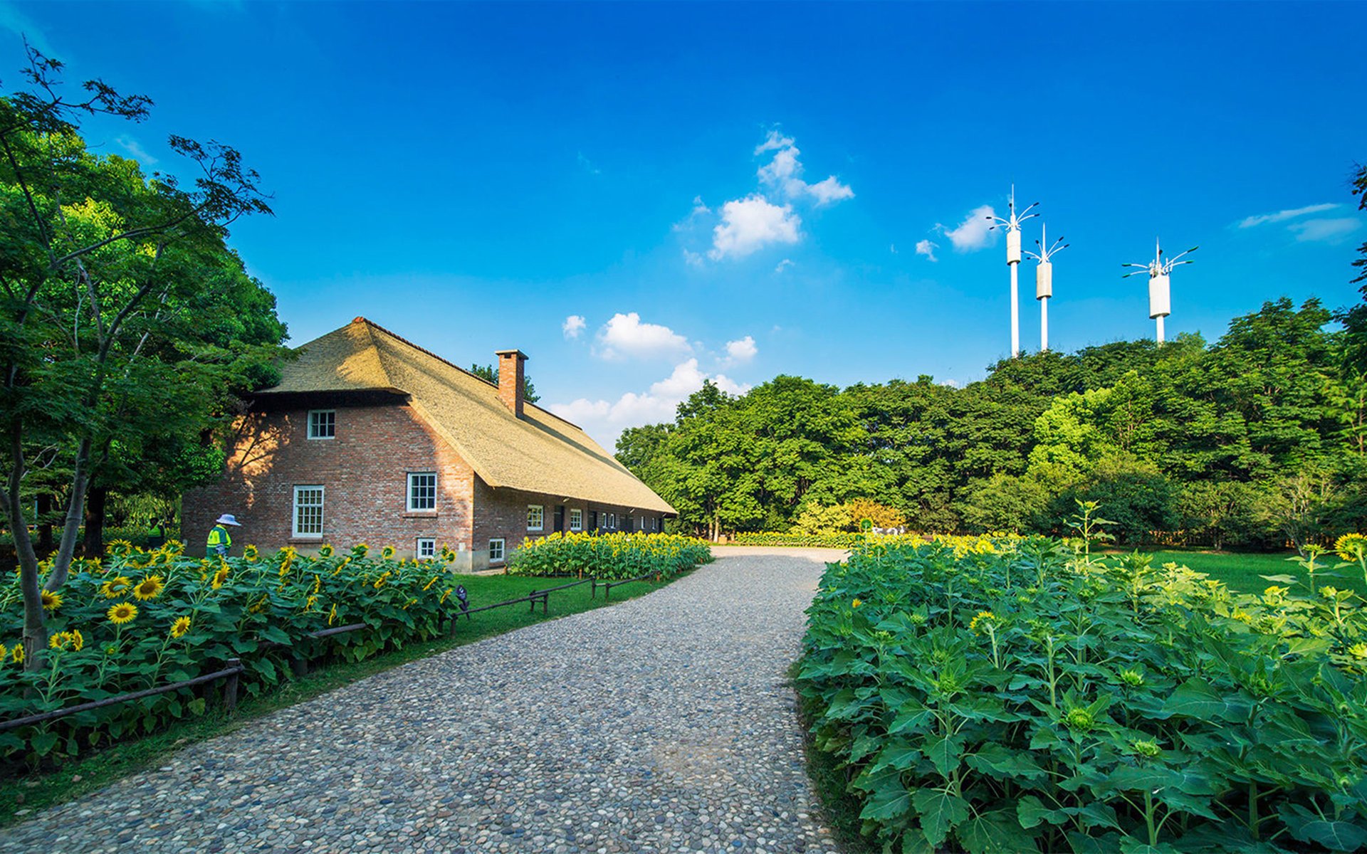 蓝天白云,清新怡人自然风光