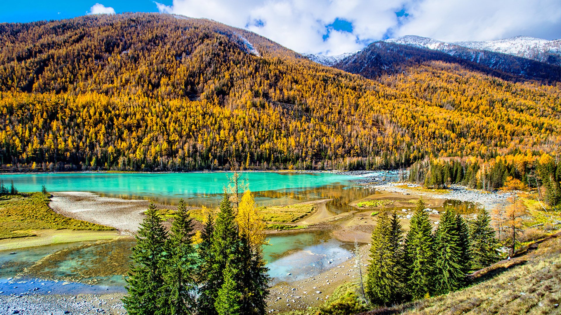 自然风光,新疆喀纳斯秋色美景