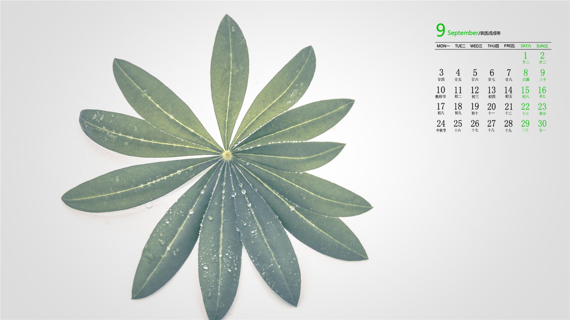 日历,9月,2018年9月