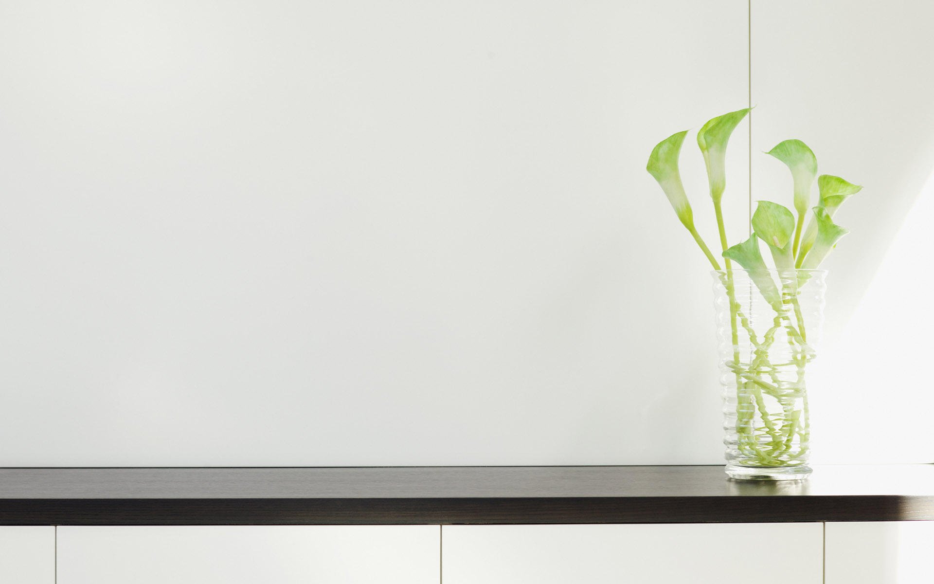 静物写真,清新室内,花朵,植物