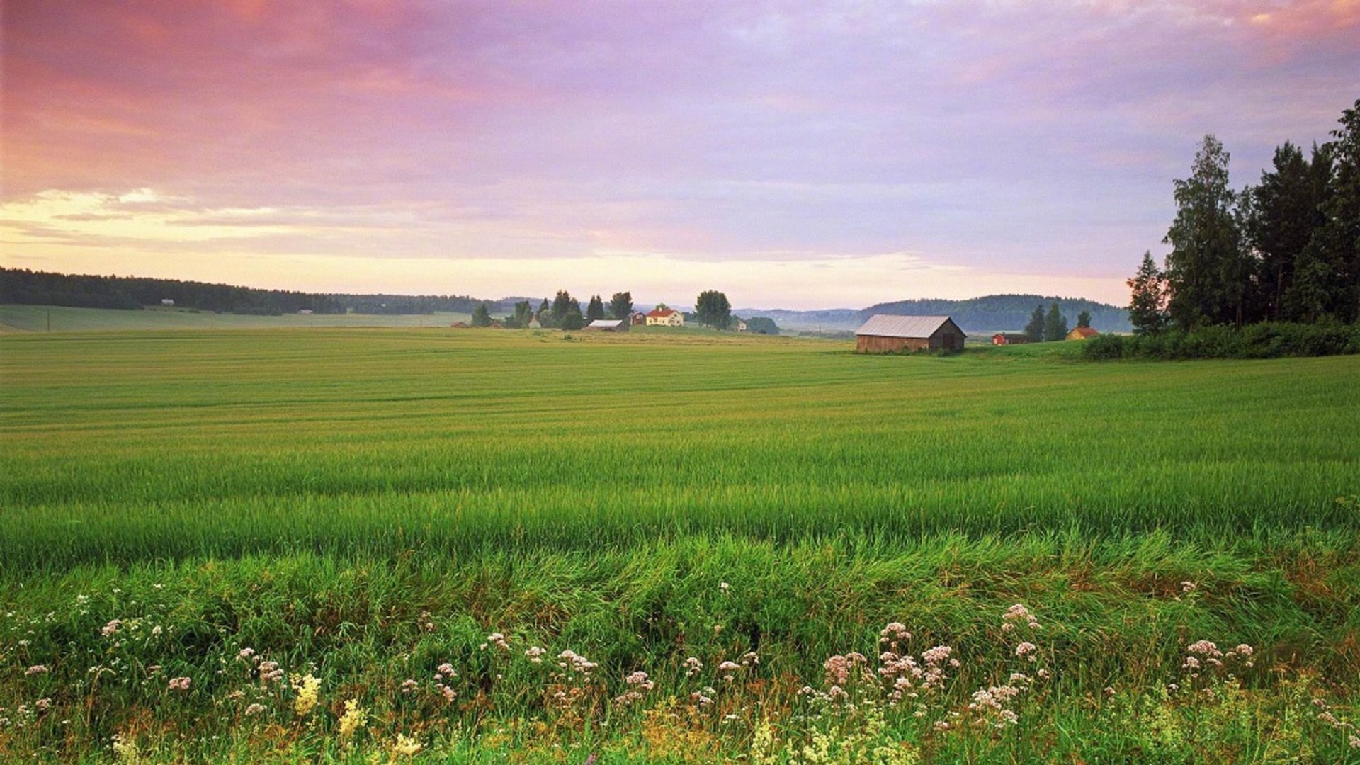 炎炎夏日,清新怡人自然风光