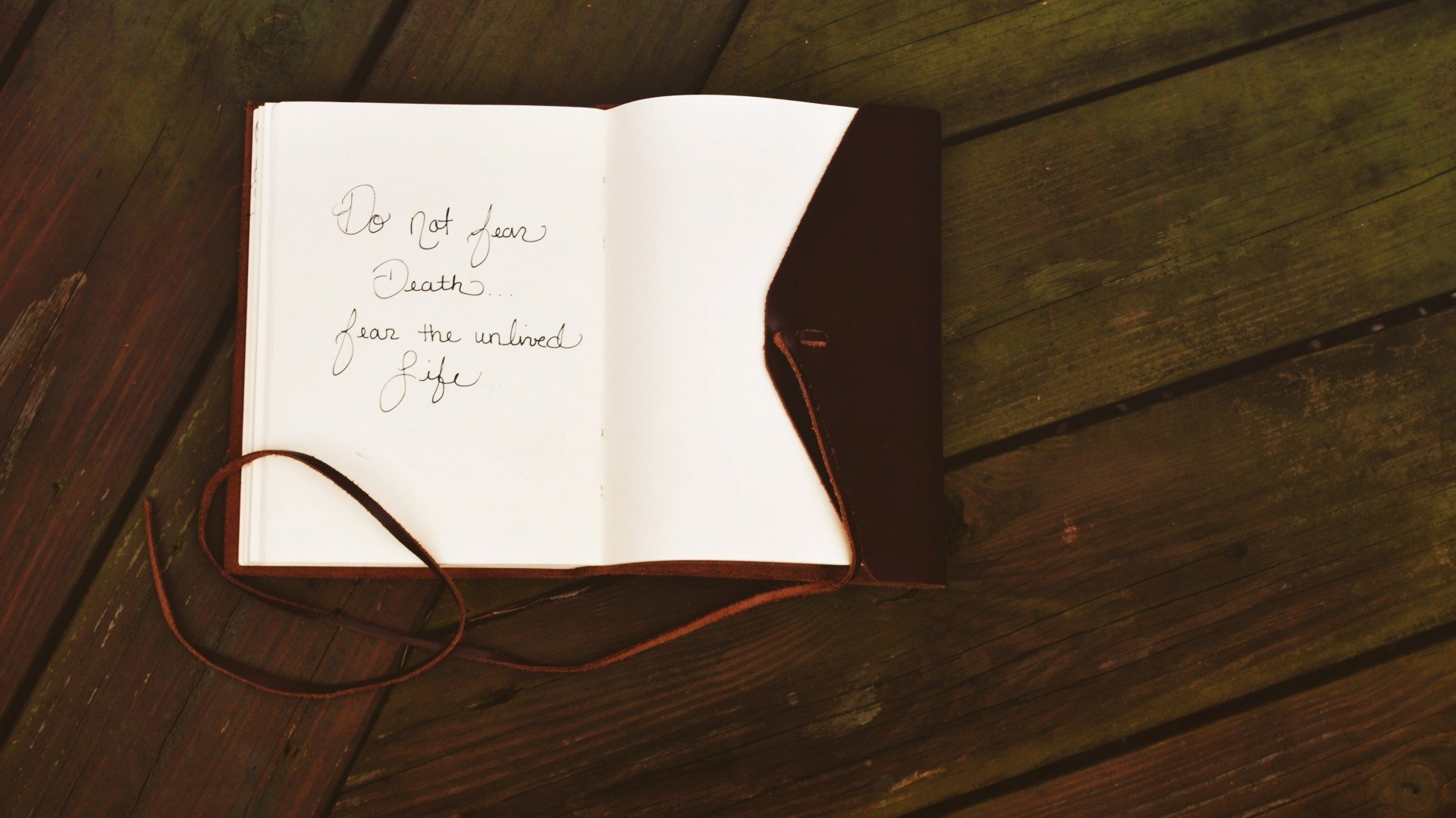 静物写真,安静的看书