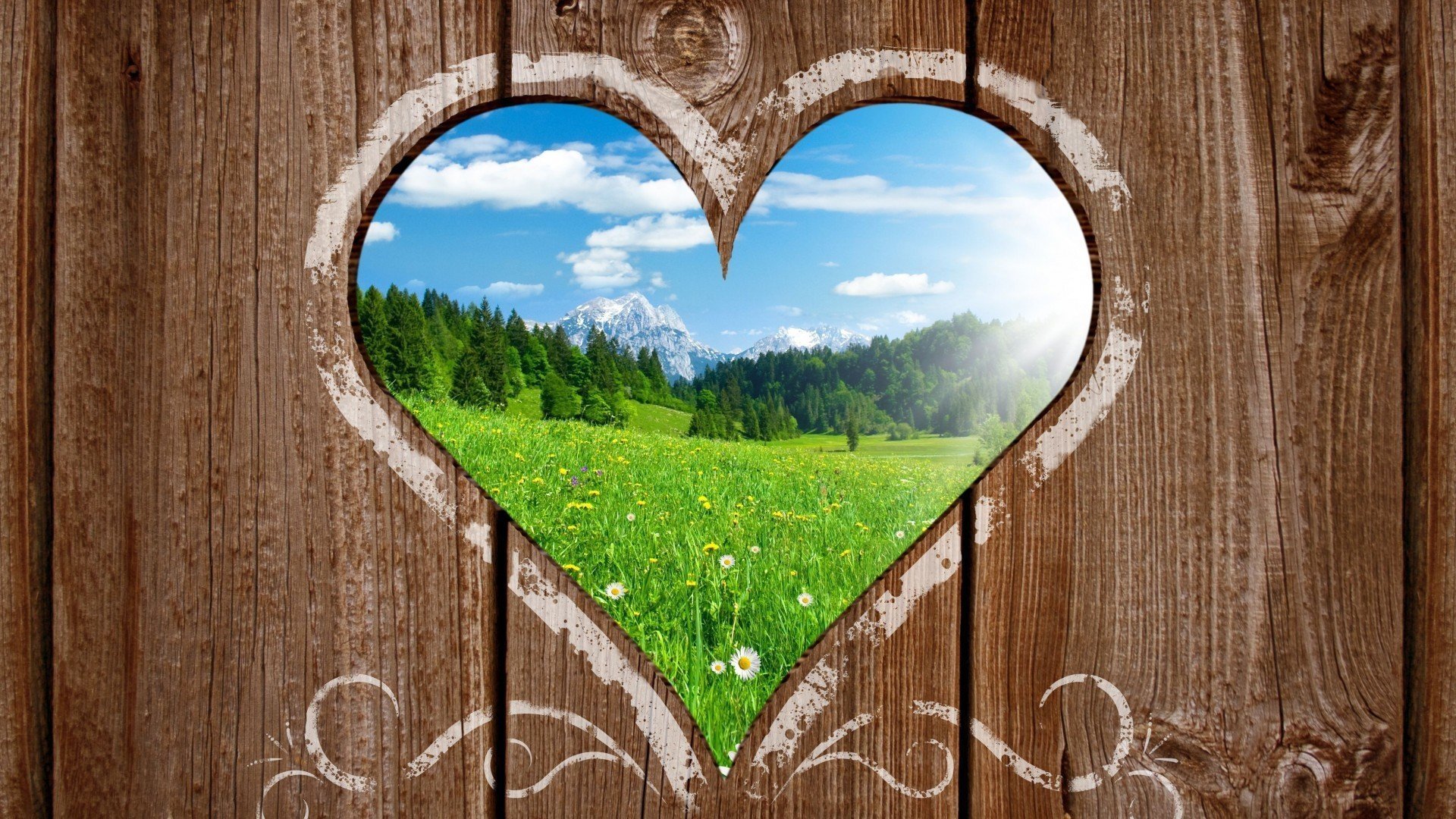 心动创意,爱情的世界