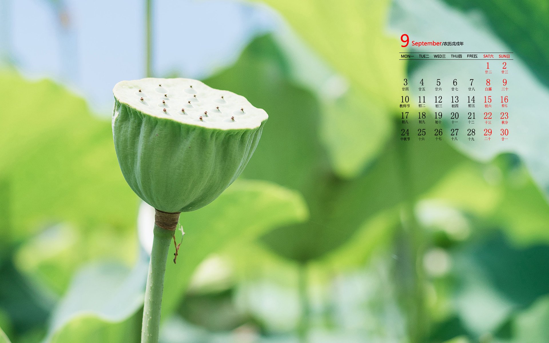 日历,9月,2018年9月