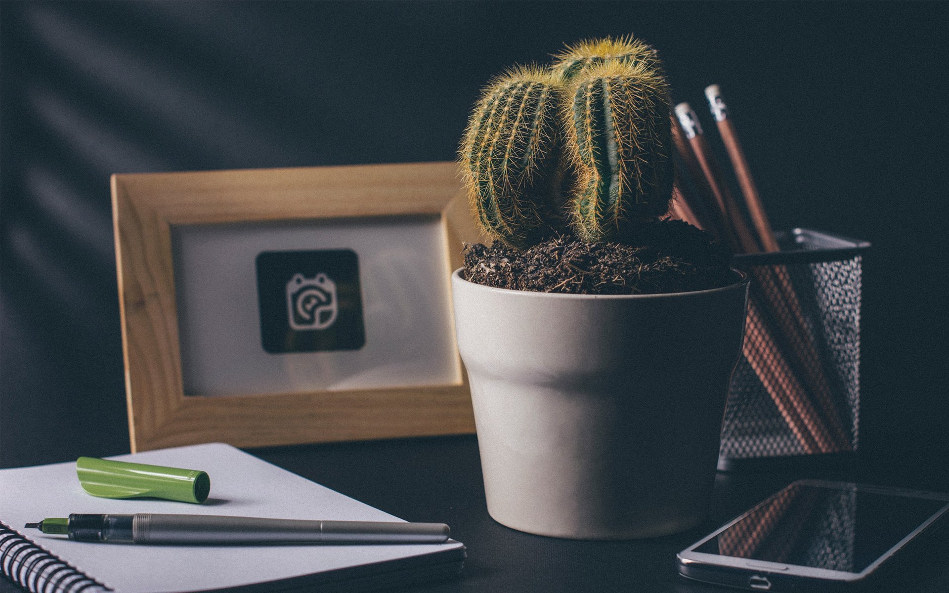 静物写真,仙人掌,桌面,简洁