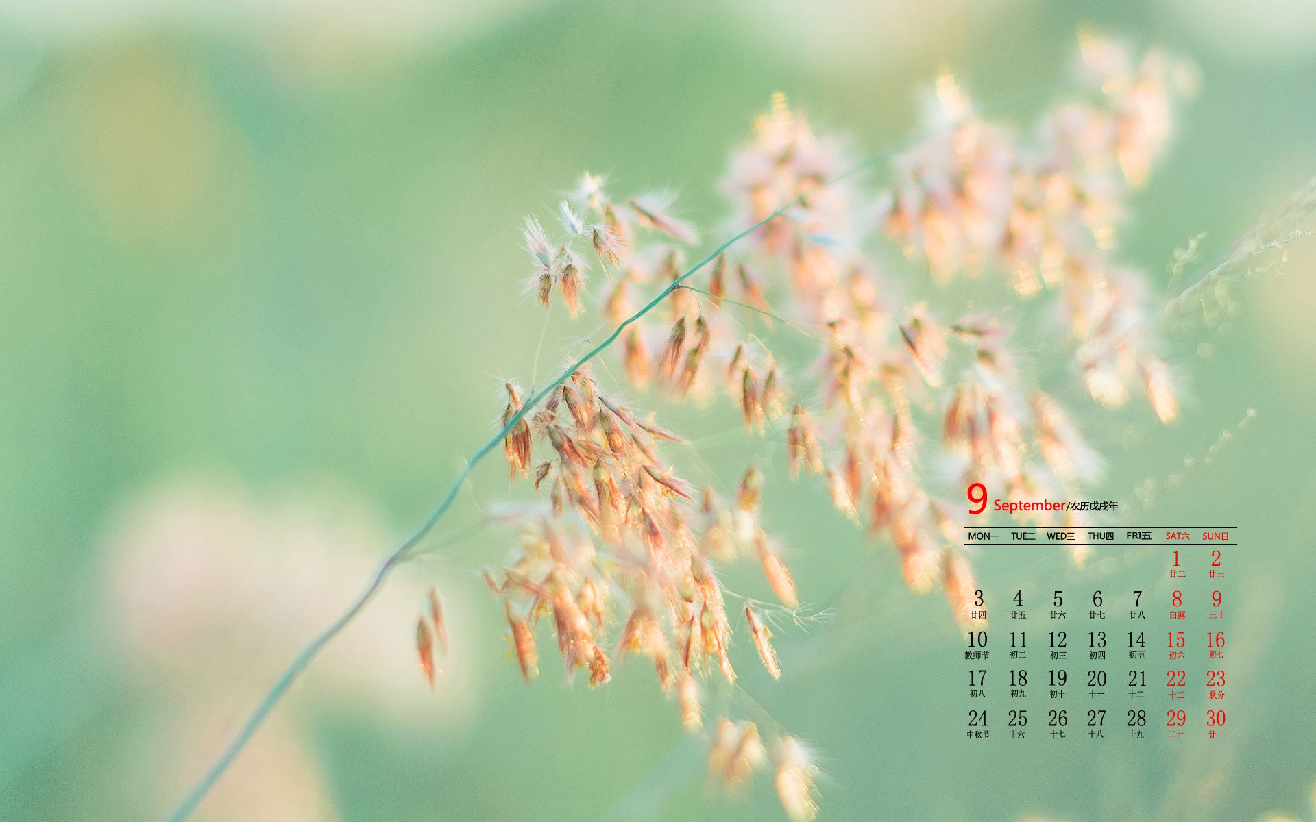 日历,9月,2018年9月