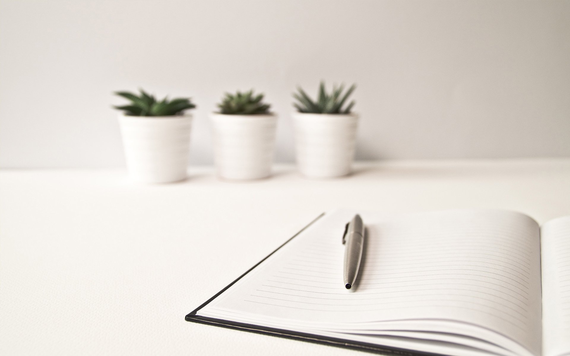 静物写真,仙人掌,桌面,简洁