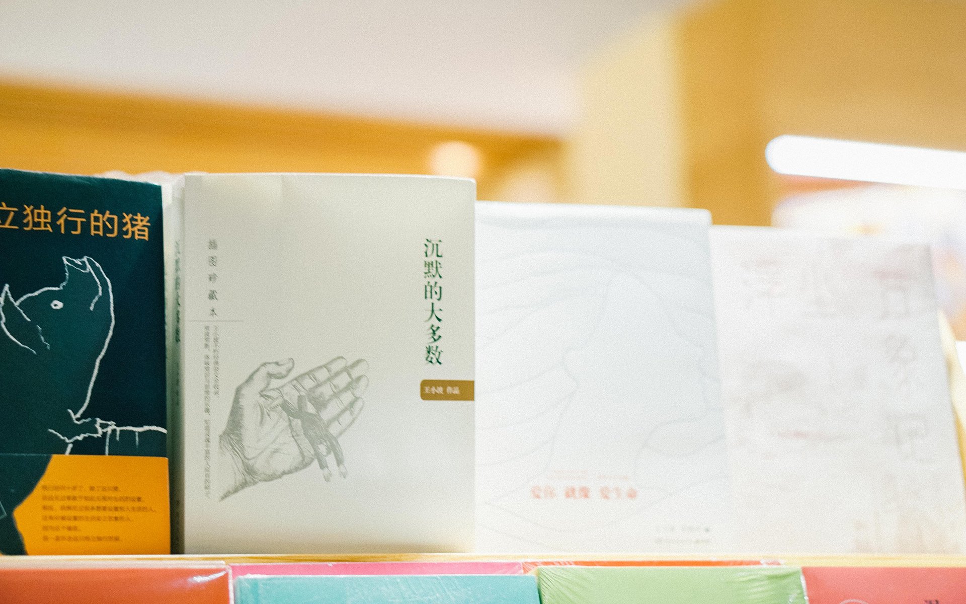 静物写真,沉默,书本,简约