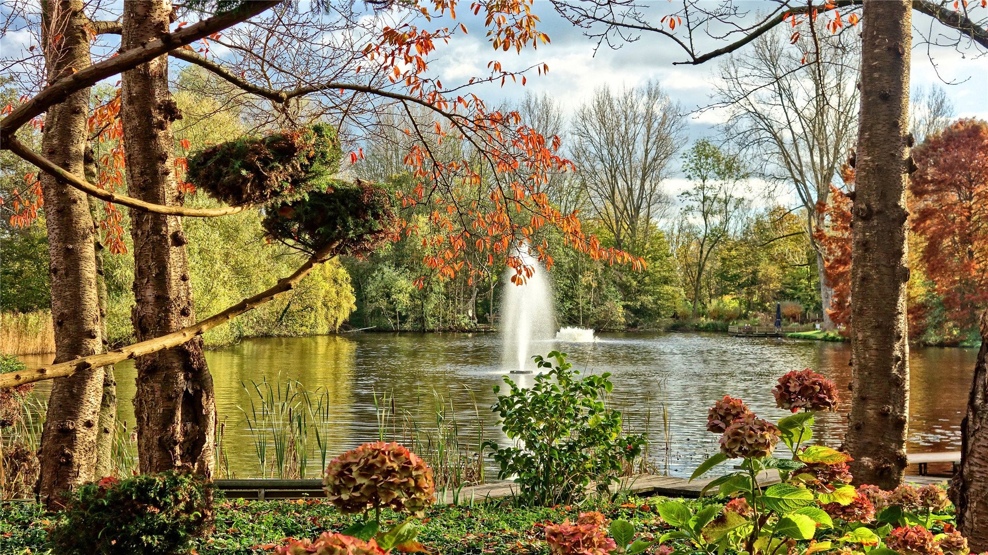 秋意正浓,日本秋天,风景,秋色怡人