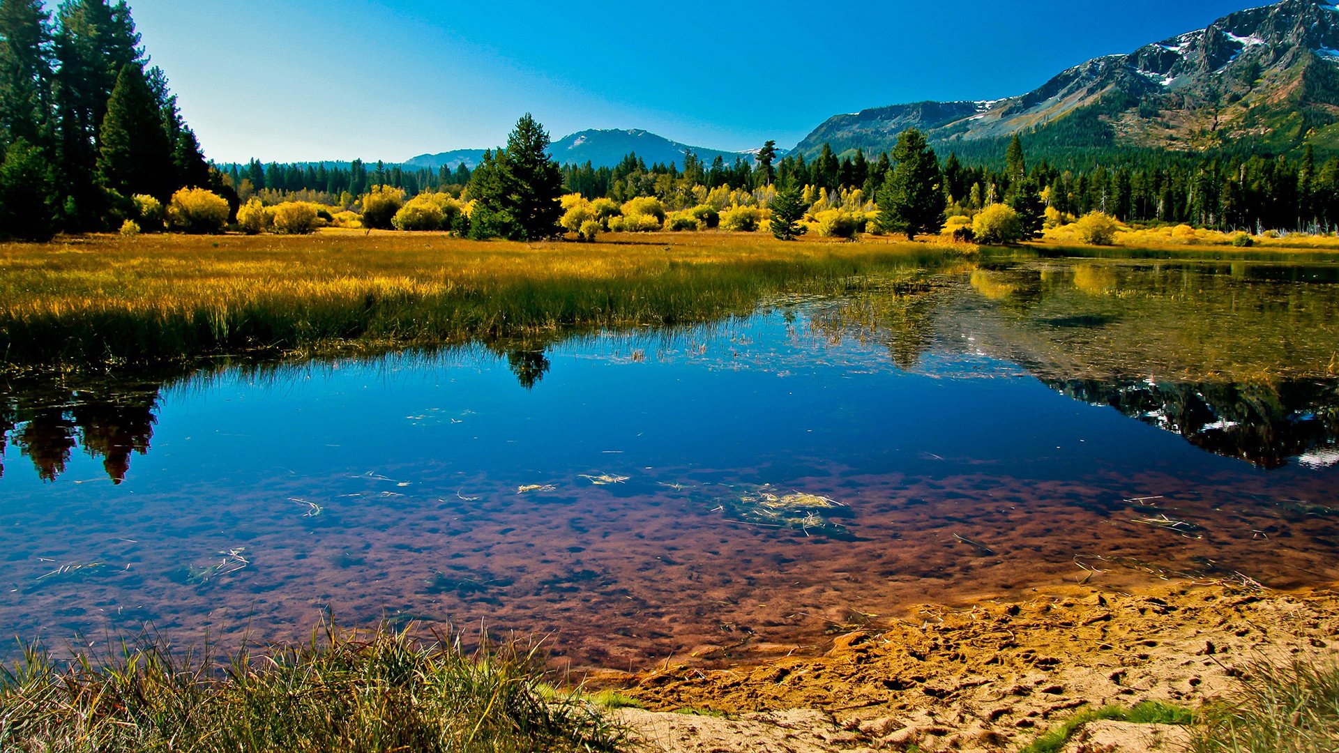 自然风光,美国加利福尼亚州美景