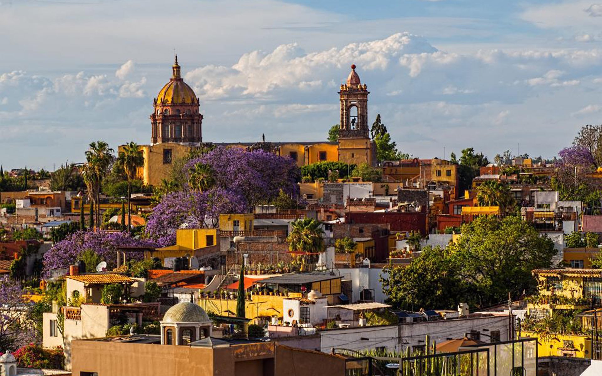 城市夜景,墨西哥城市,建筑