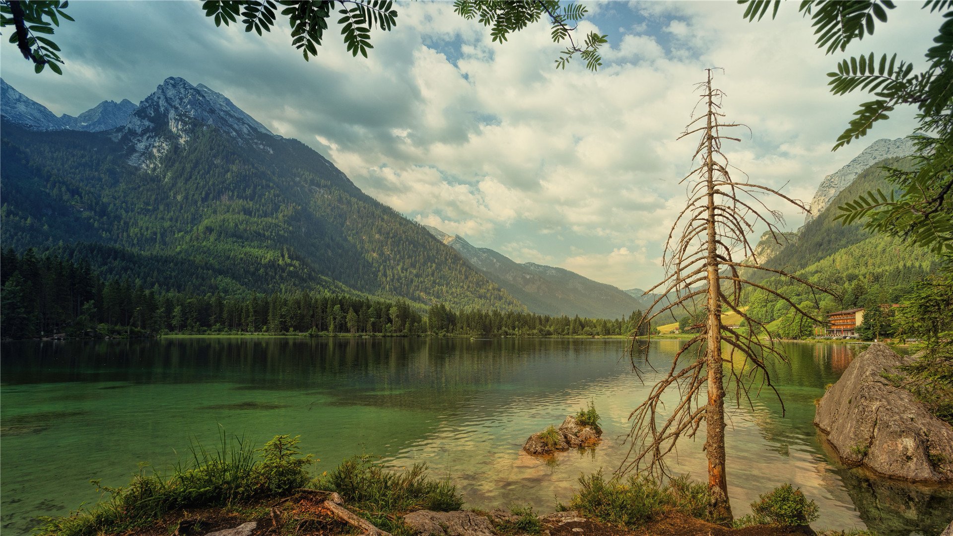 自然风光,青山绿水,森林,山川,河流