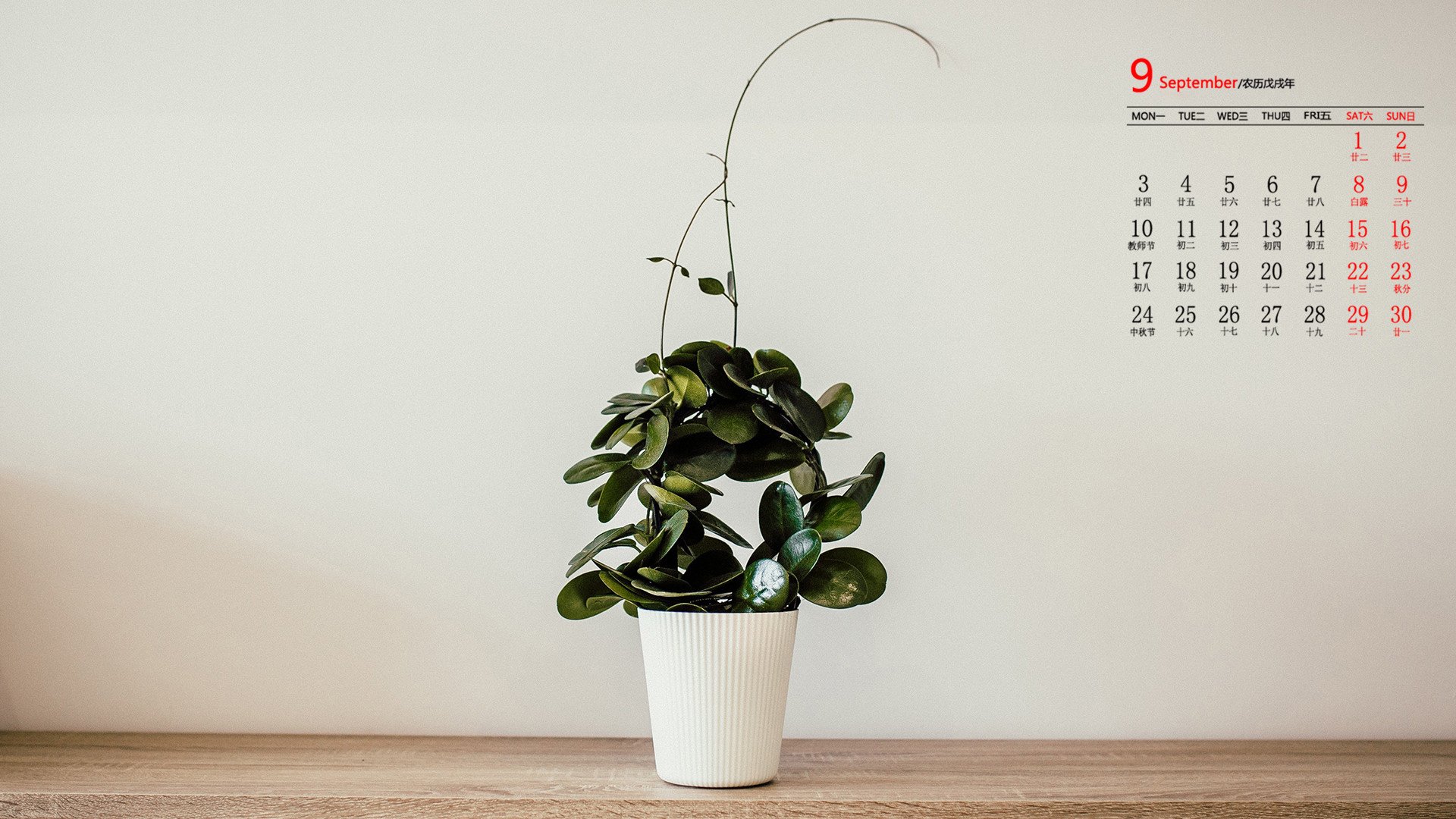 月历,9月,2018年9月