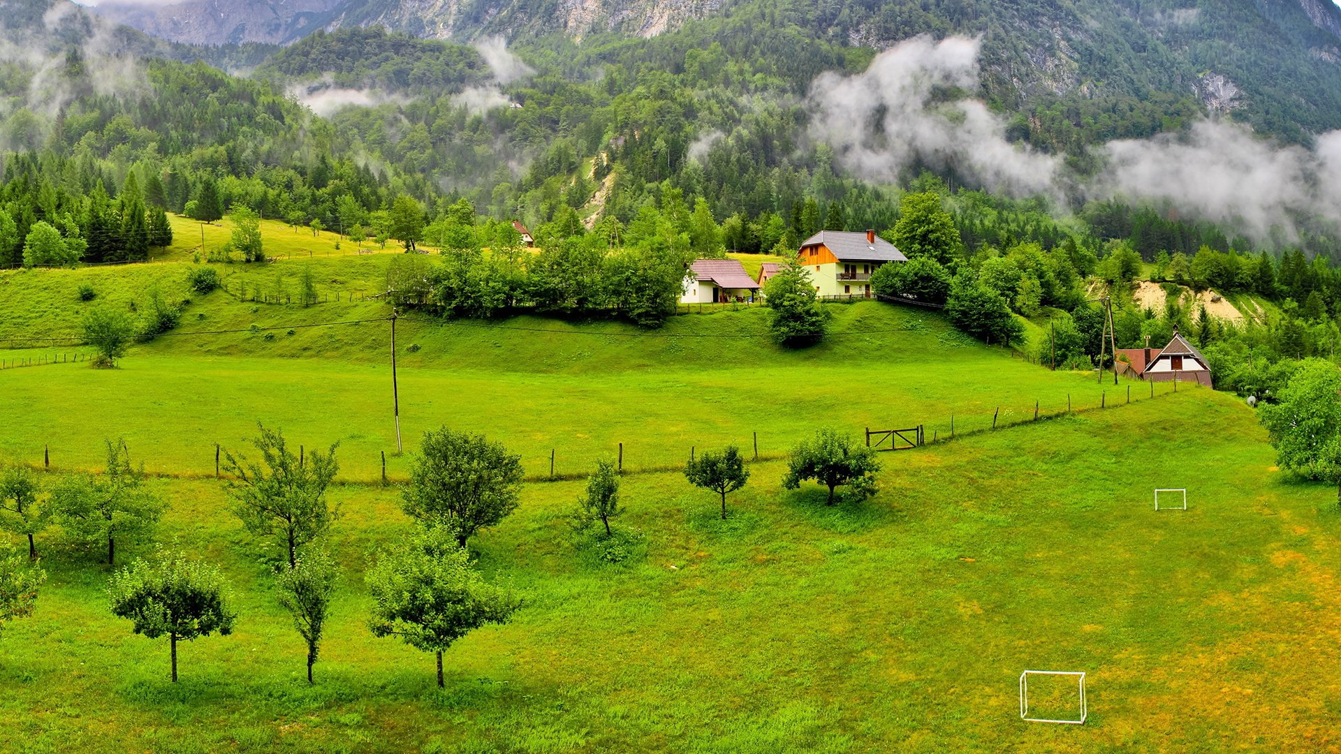 春意盎然,绿色护眼,自然风光,森林
