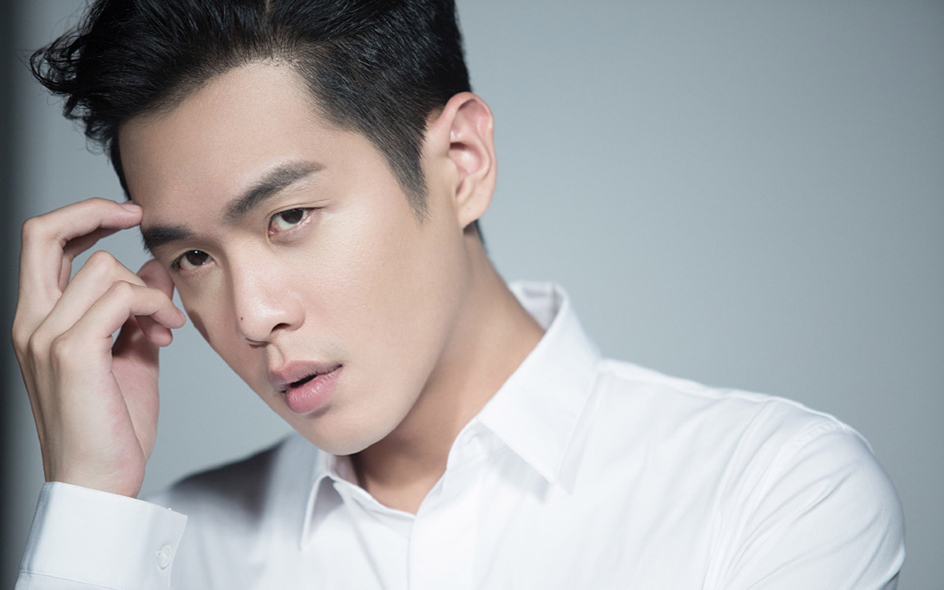 张若昀,内地明星