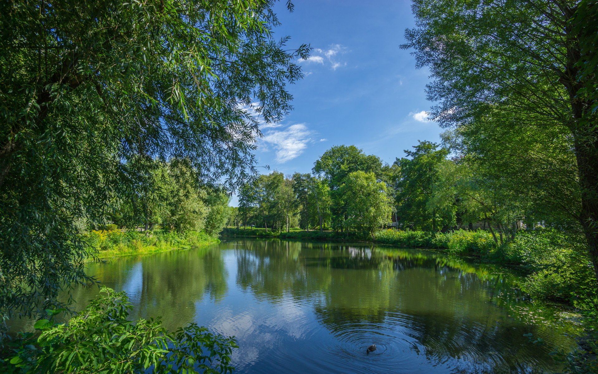 蓝天白云,清新怡人自然风光