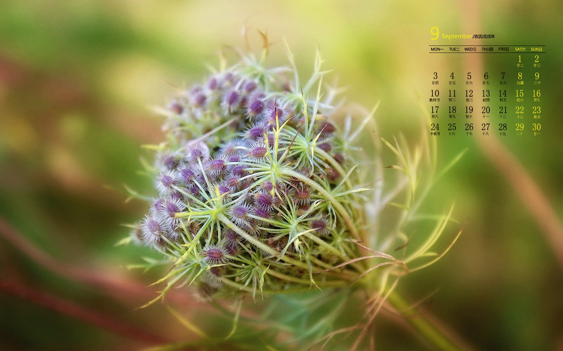 月历,9月,2018年9月