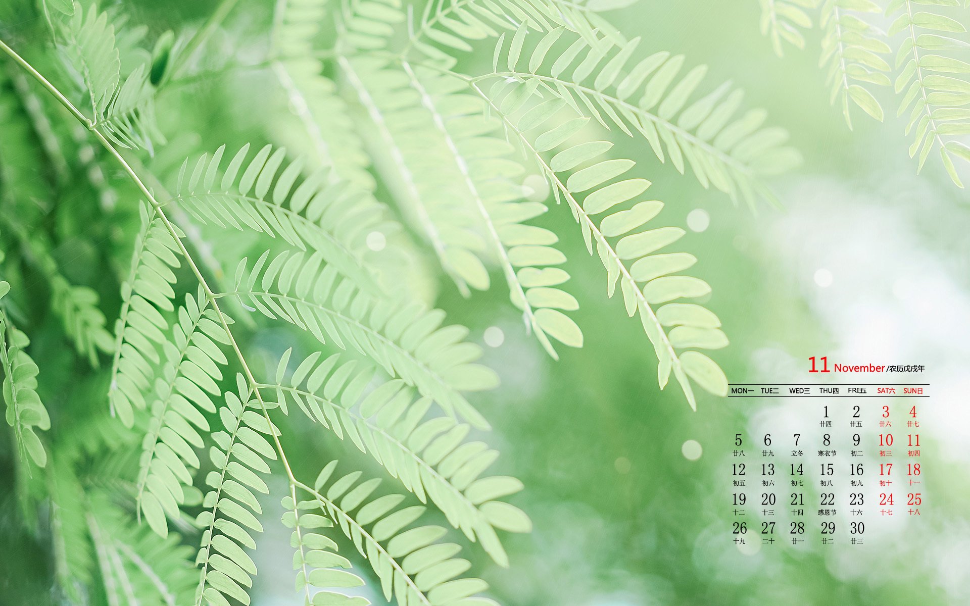 月历壁纸,11月,2018年