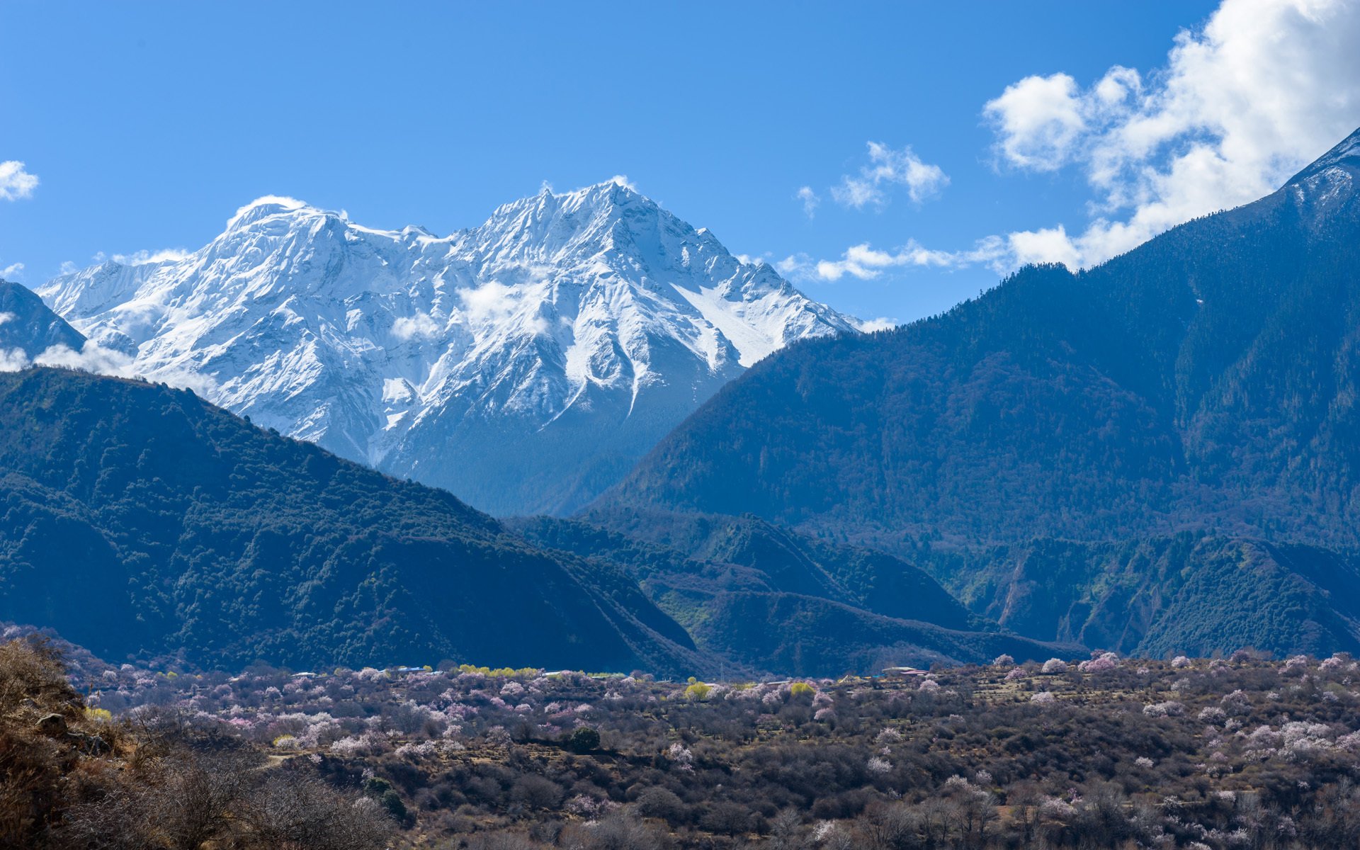 冰天雪地,冬季,唯美,雪景,西藏风光