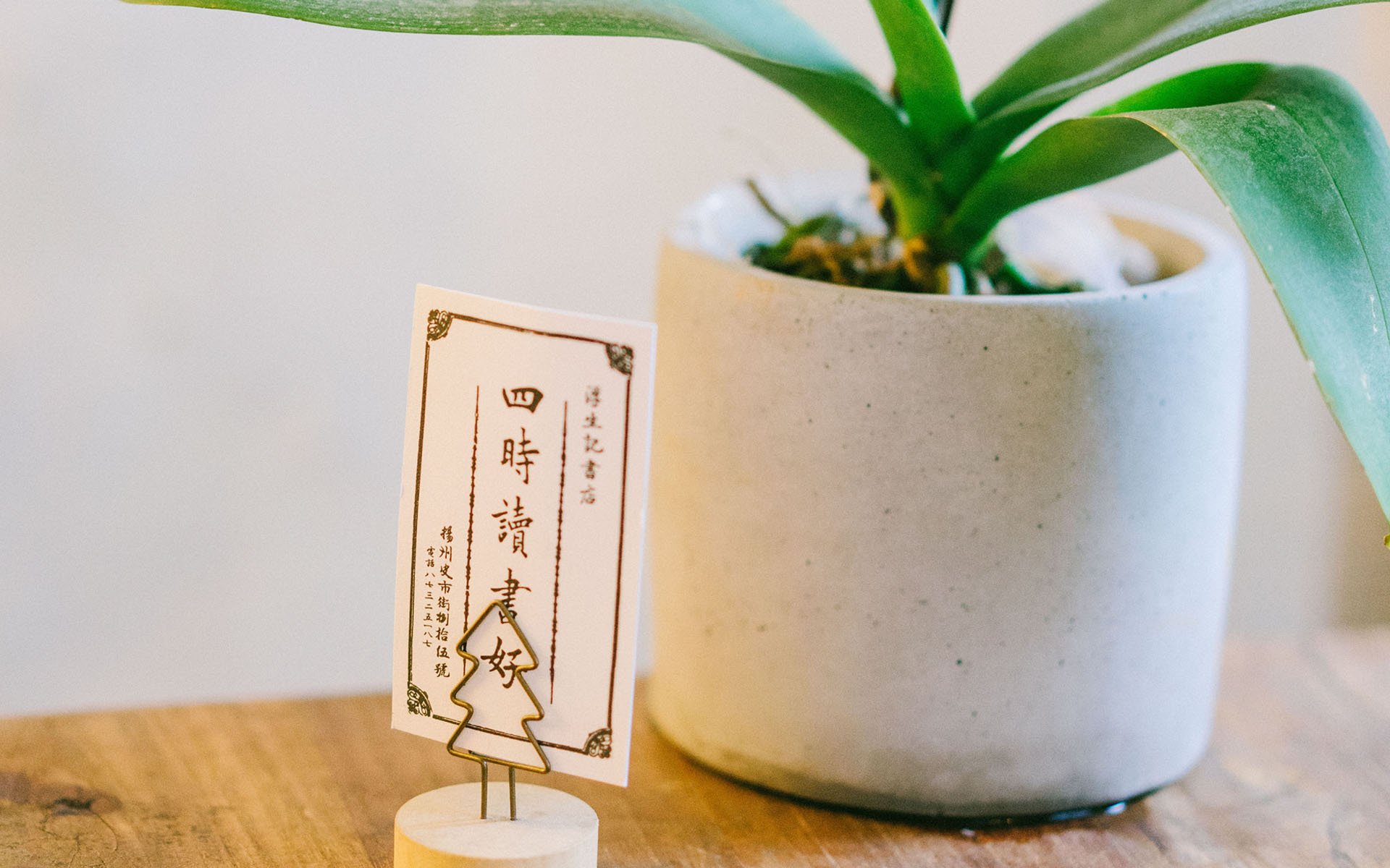 静物写真,简洁,绿色,植物,养眼,阳光