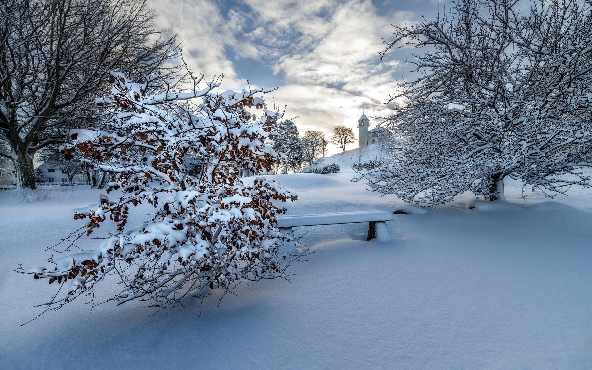 冰天雪地,冬季,唯美,雪景