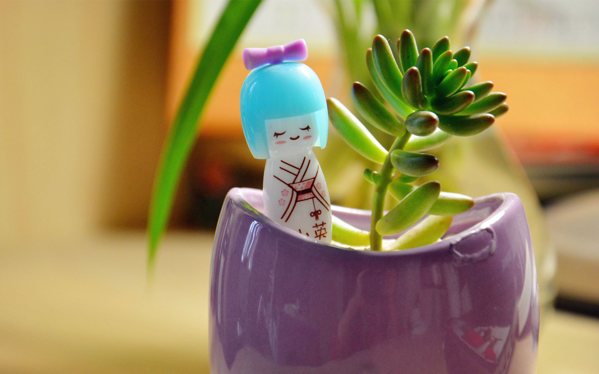 静物写真,简洁,绿色,植物,养眼,阳光