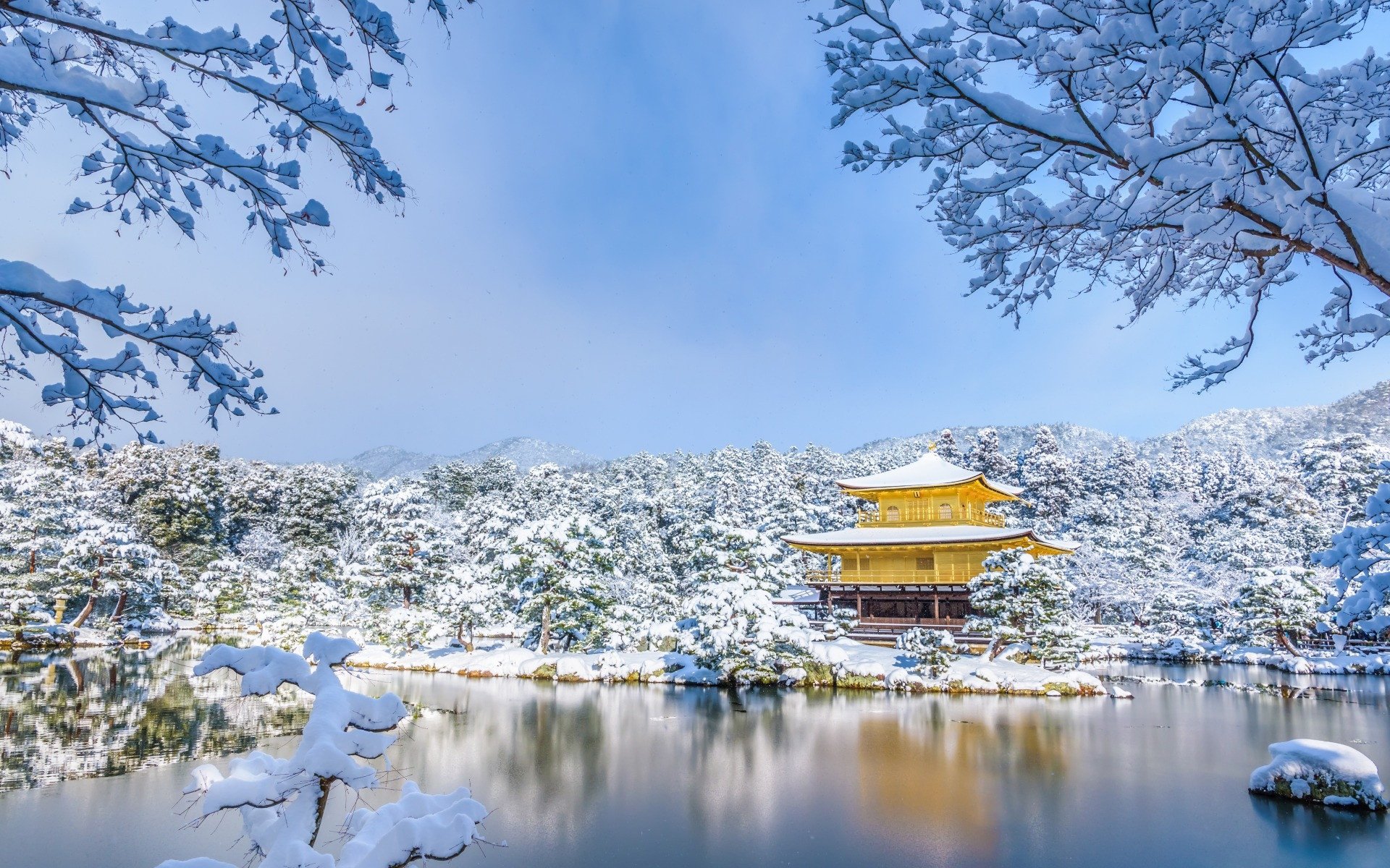 冰天雪地,冬季,唯美,雪景,日本雪景