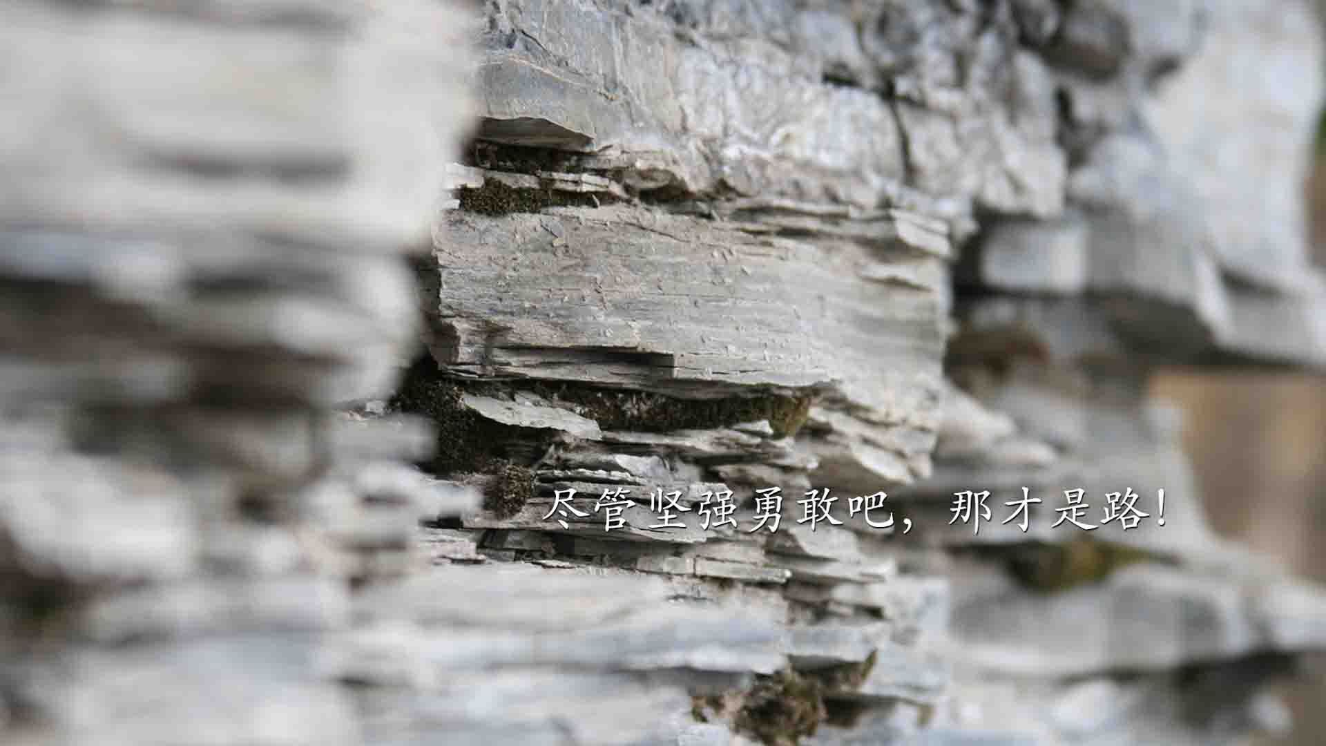 文字控,坚强,勇敢,路