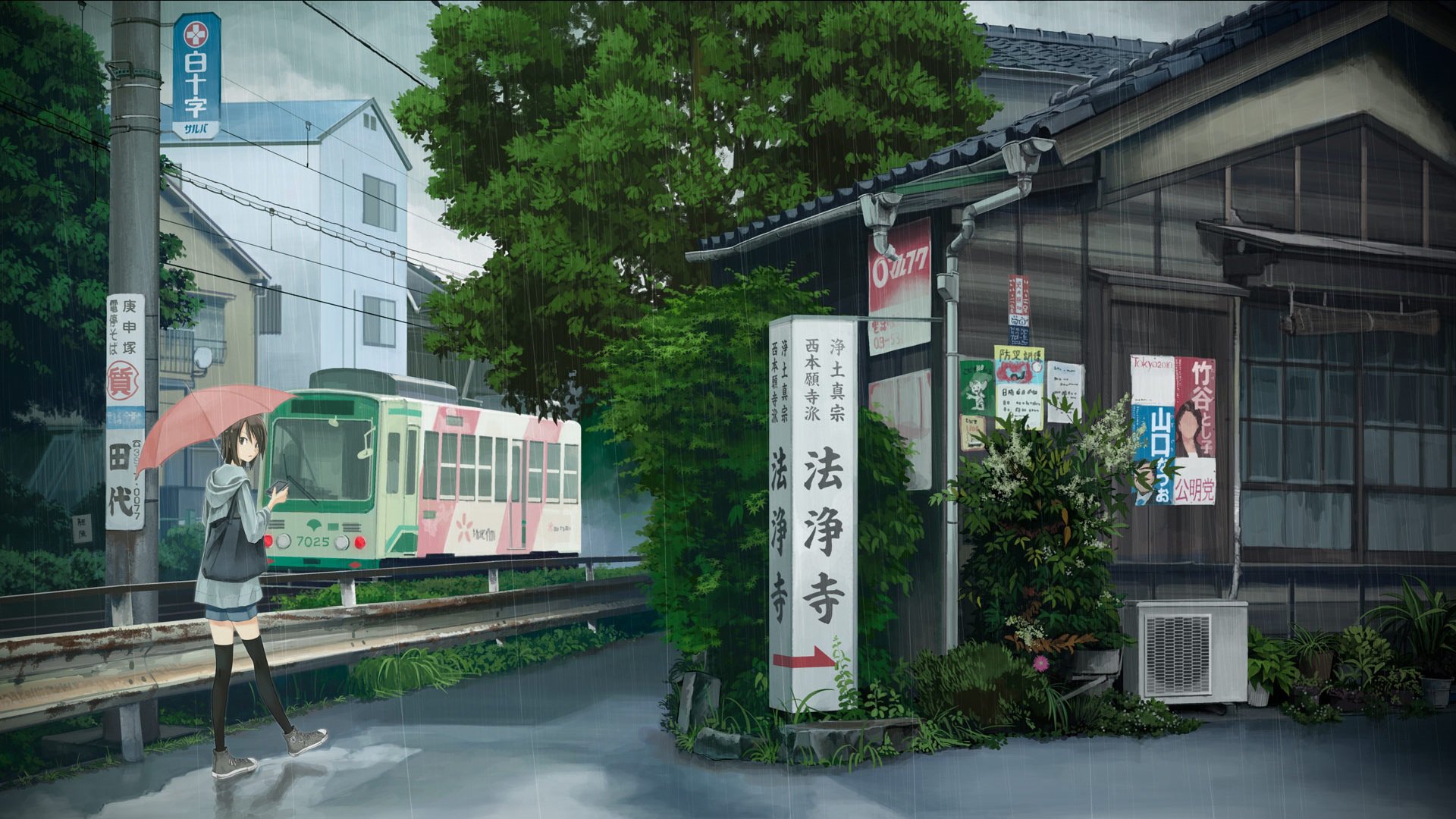 接头,日本,下雨,爱情