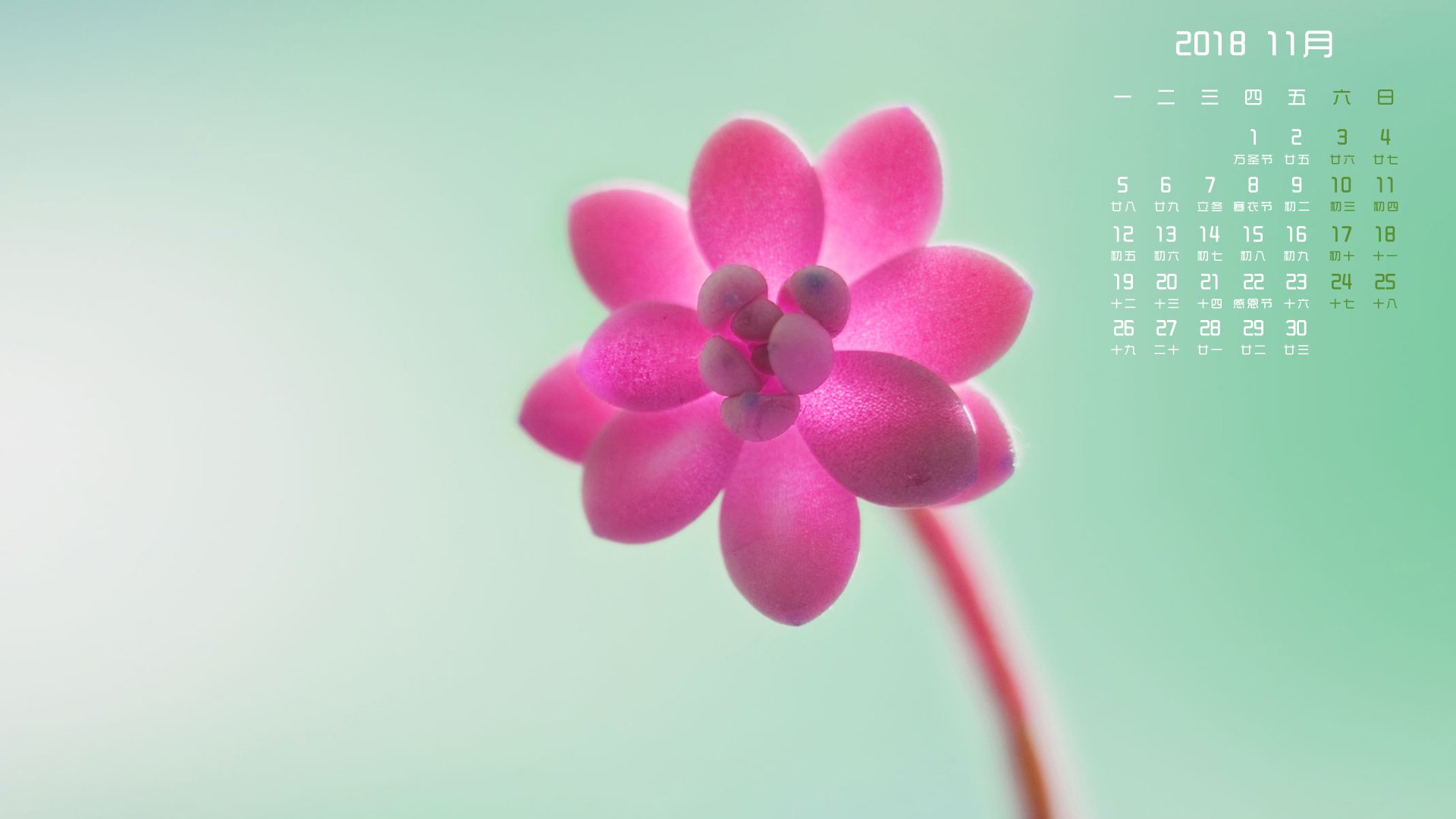月历壁纸,11月,2018年