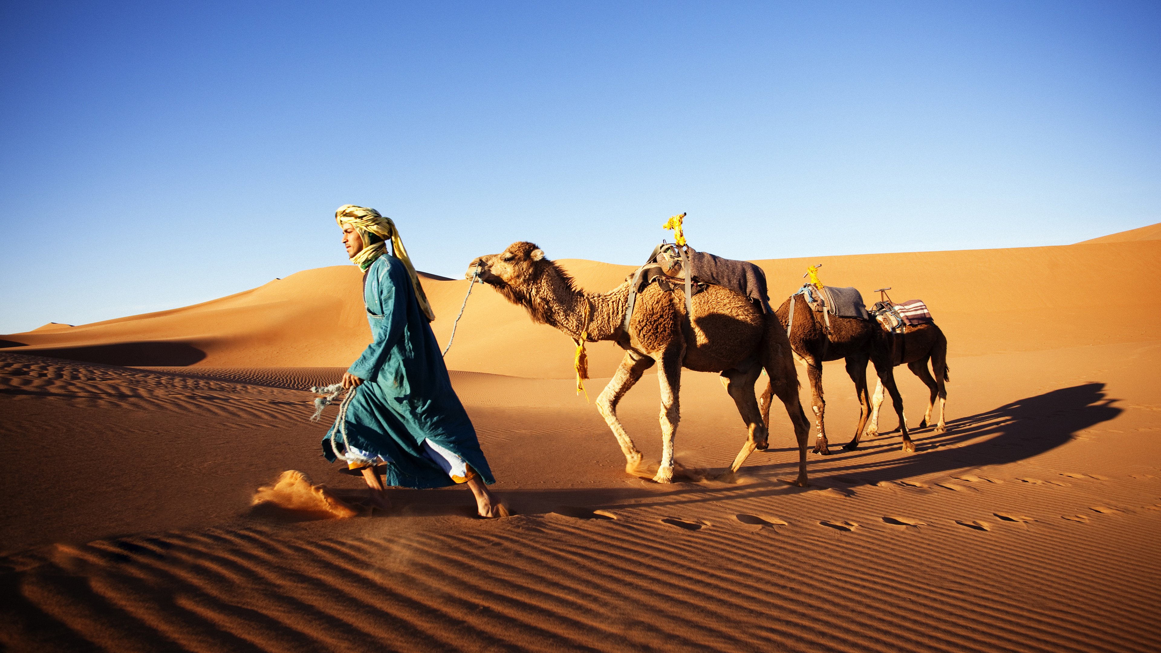 沙漠,骆驼,非洲,炎热