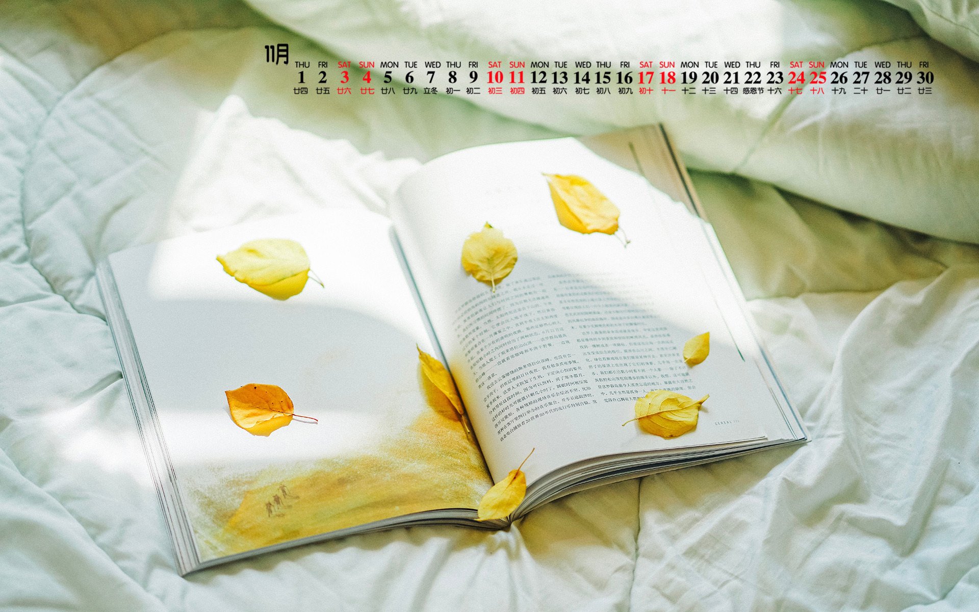 月历壁纸,11月,2018年