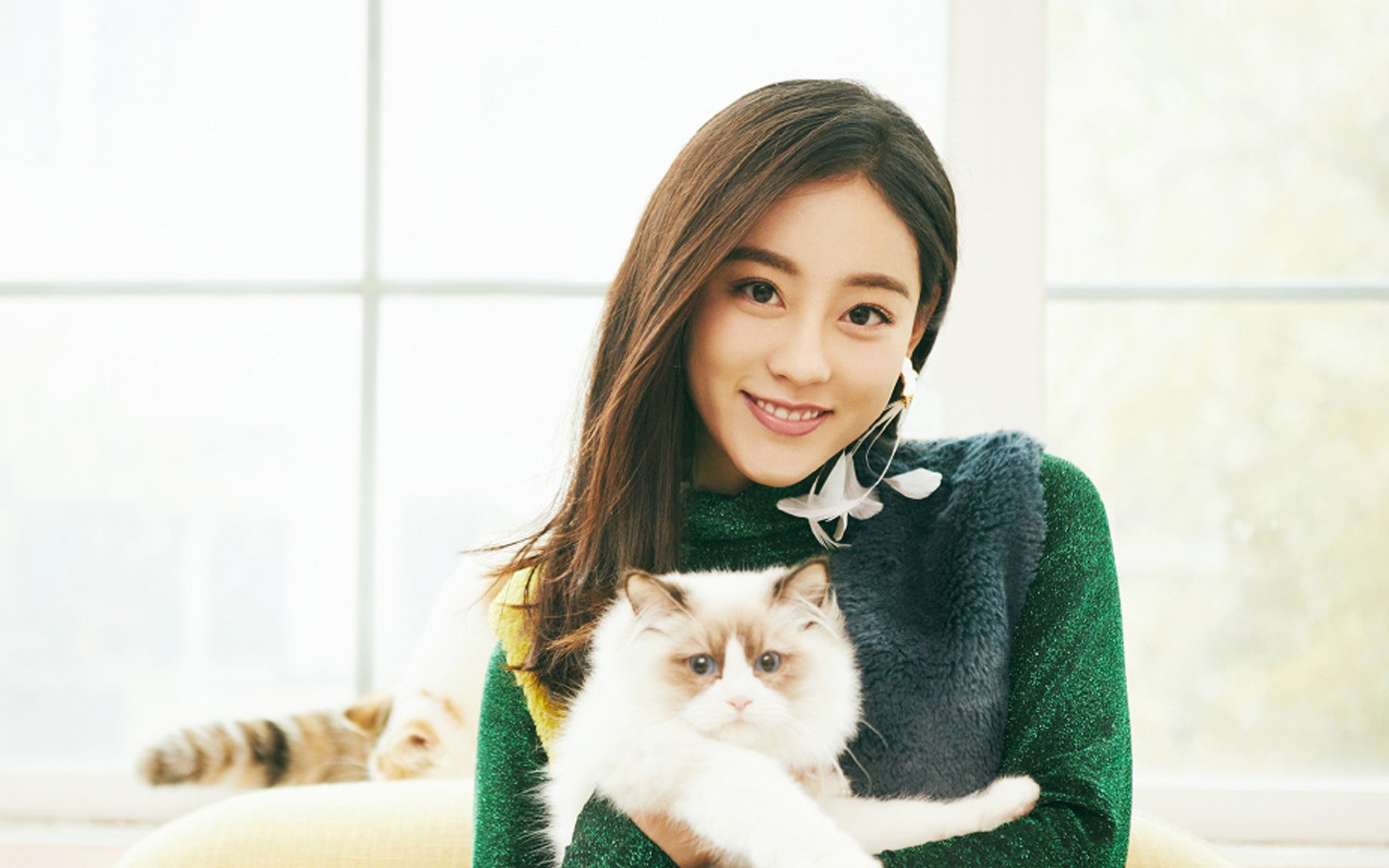 女明星,祝绪丹,可爱,猫咪