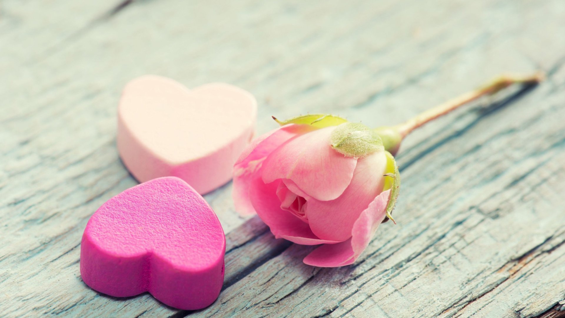 静物写真,美好爱情