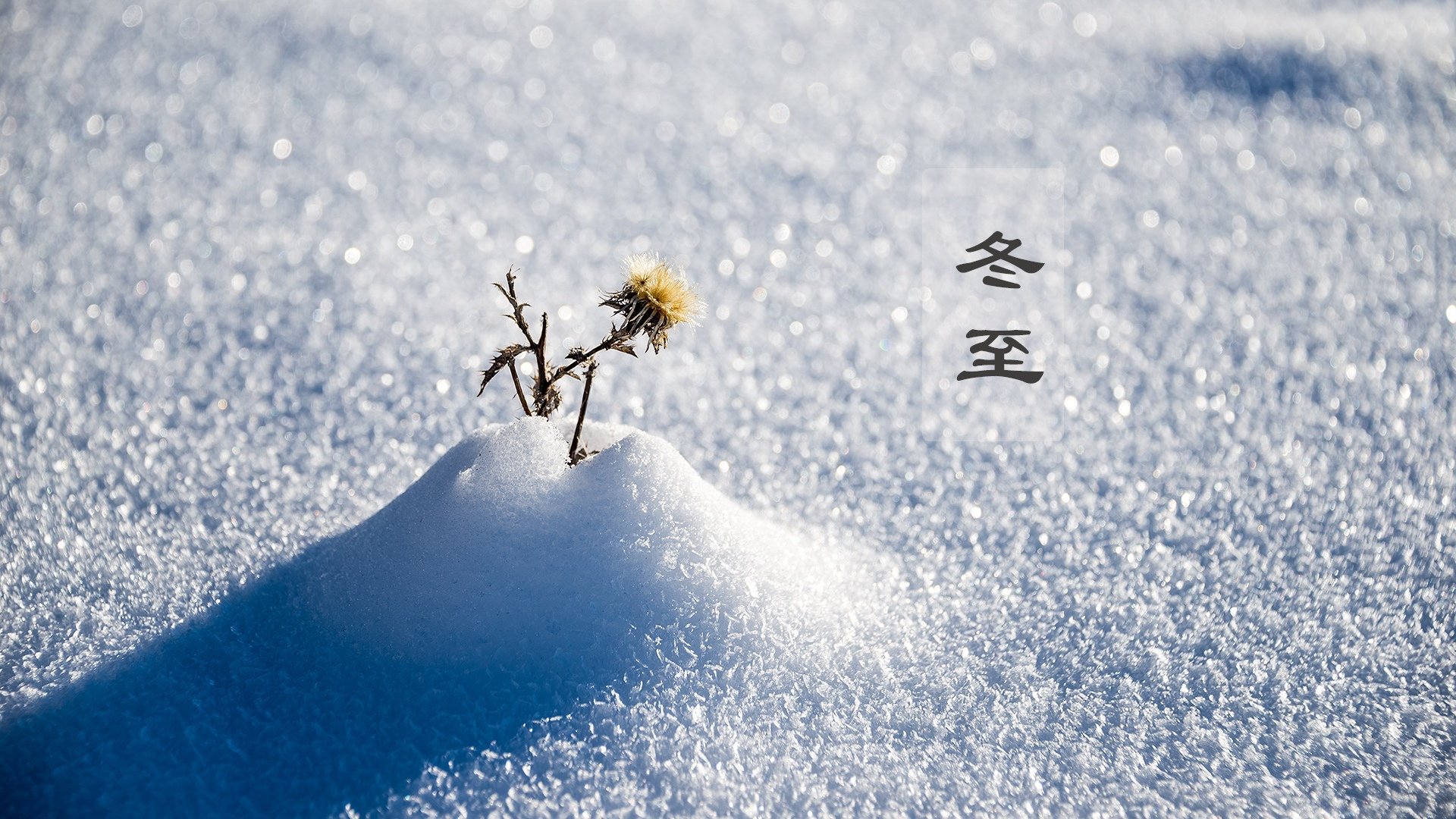 节日美图,冬至,雪景