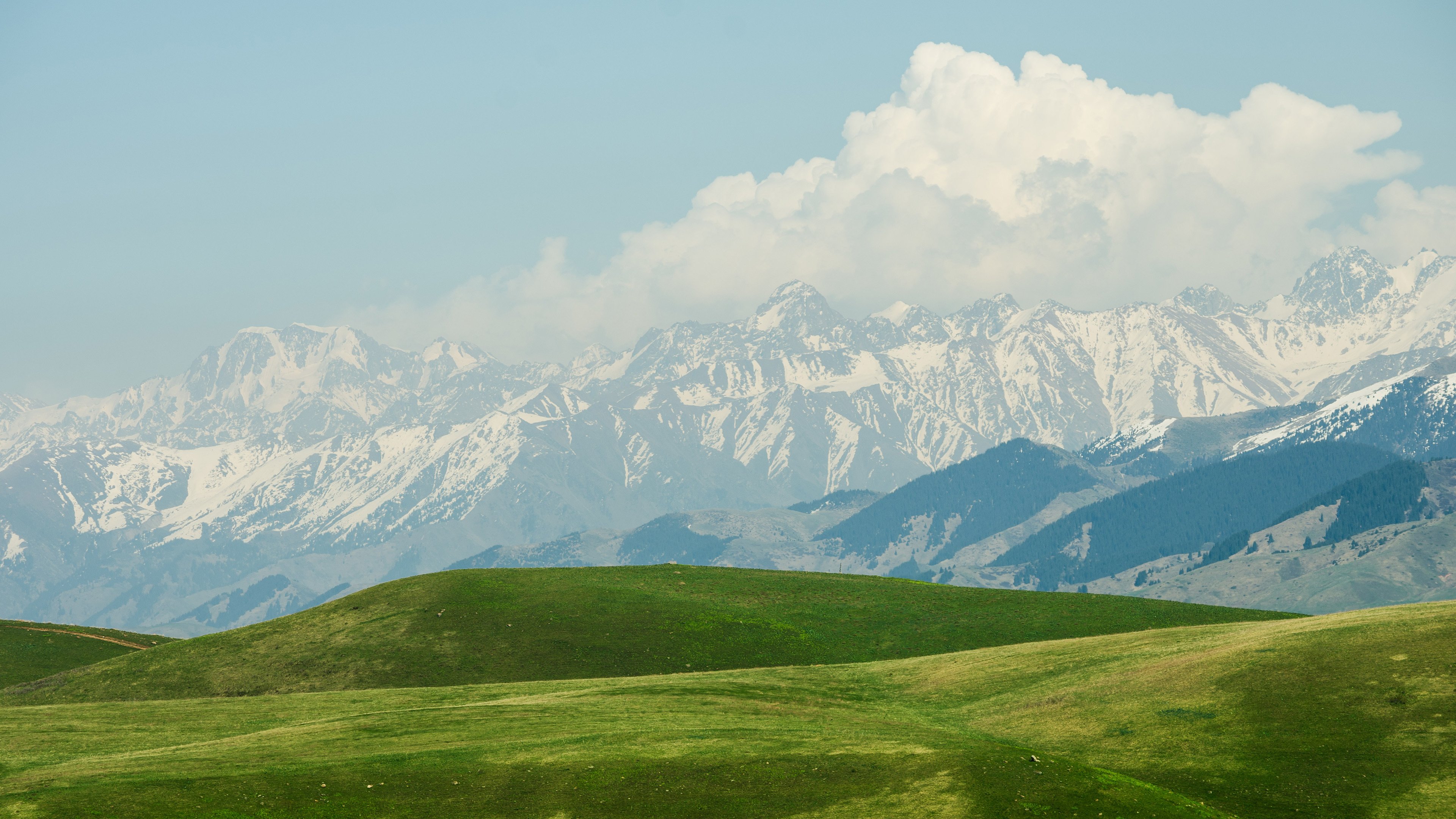 蓝天白云,草原,雪山,纯净