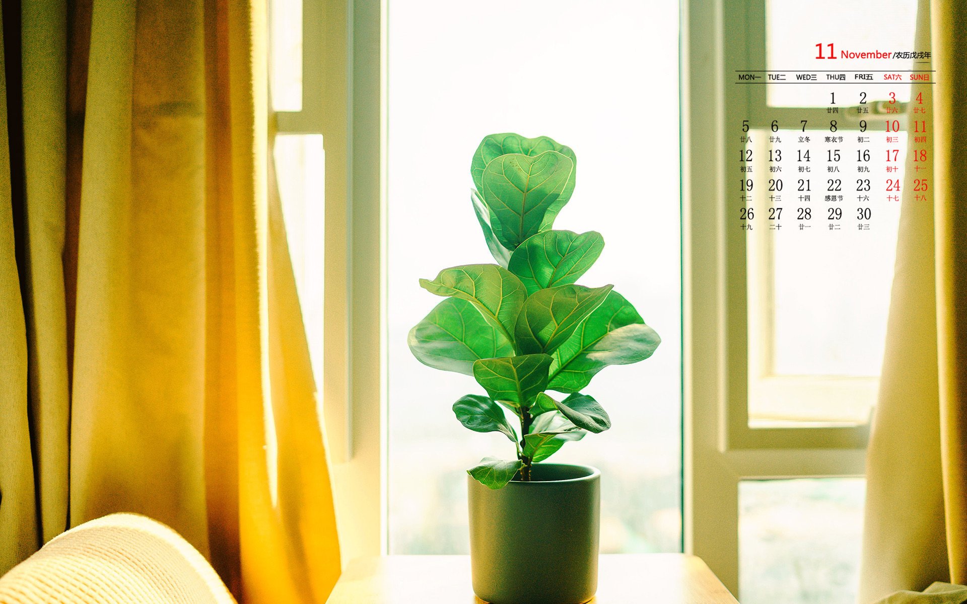 月历壁纸,11月,2018年