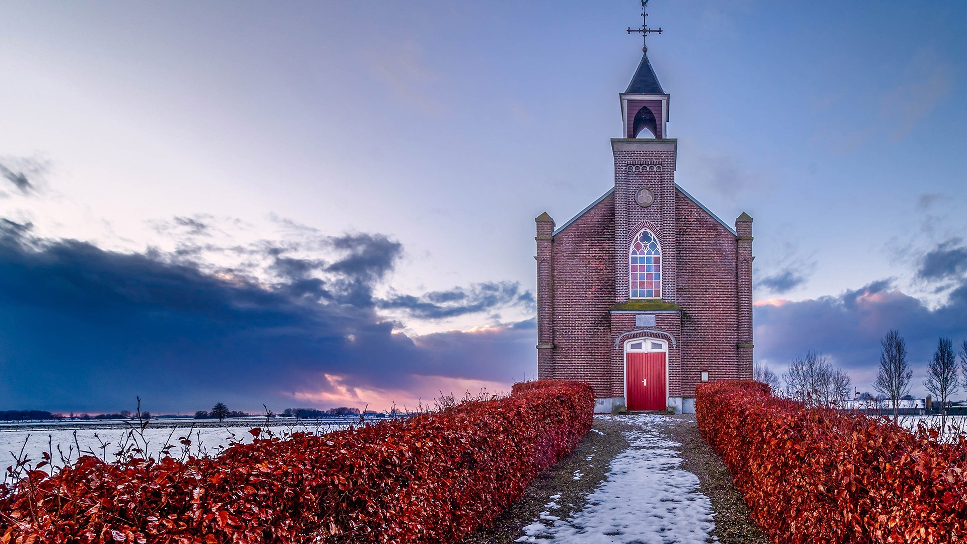 城市夜景,日本大阪,城市,建筑