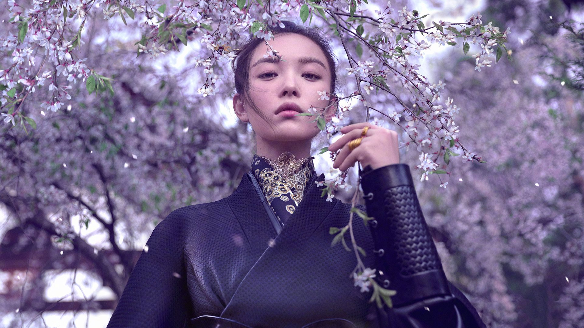 女明星,倪妮,古装