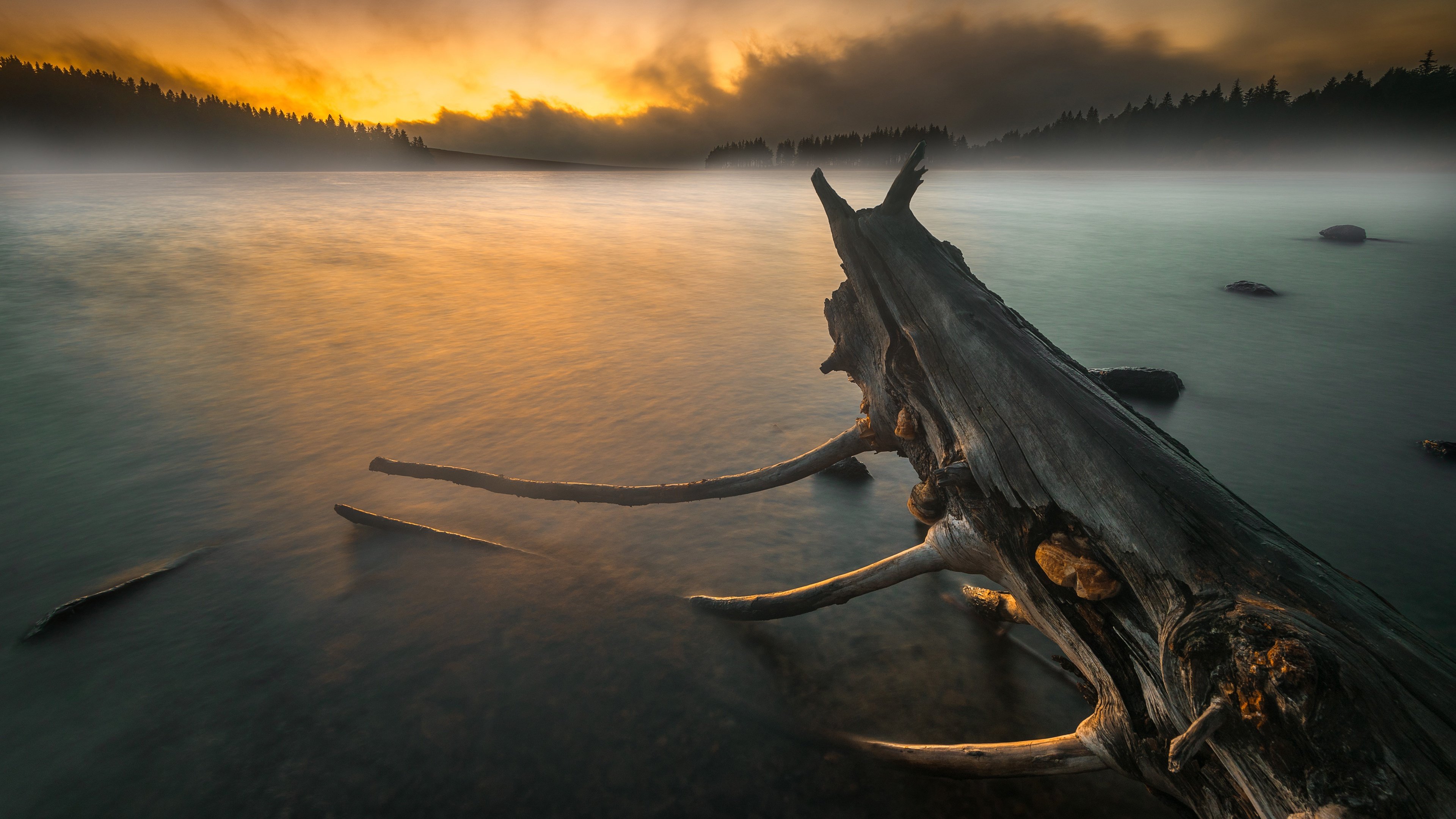 落日余晖,枯木,湖水