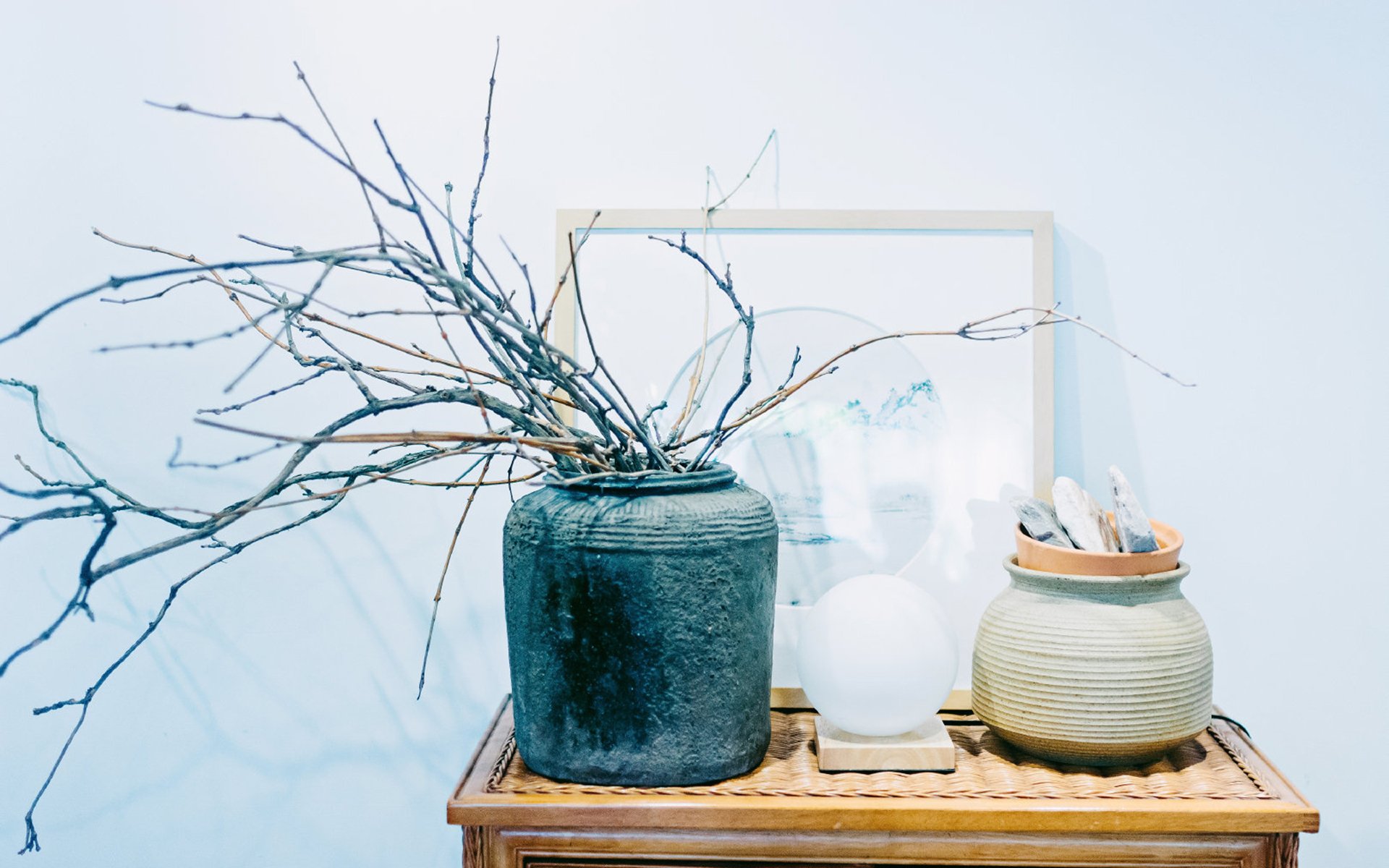 静物写真,简洁,绿色,植物,养眼,阳光,装饰