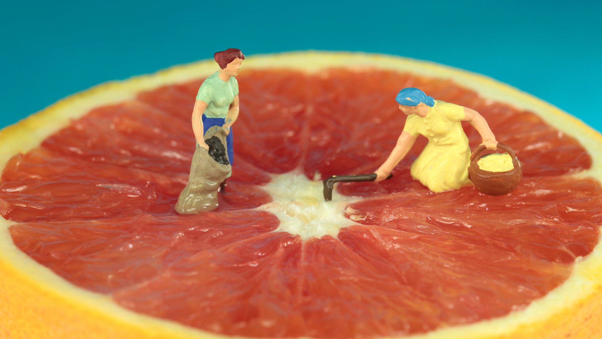 小清新,静物写真,西柚